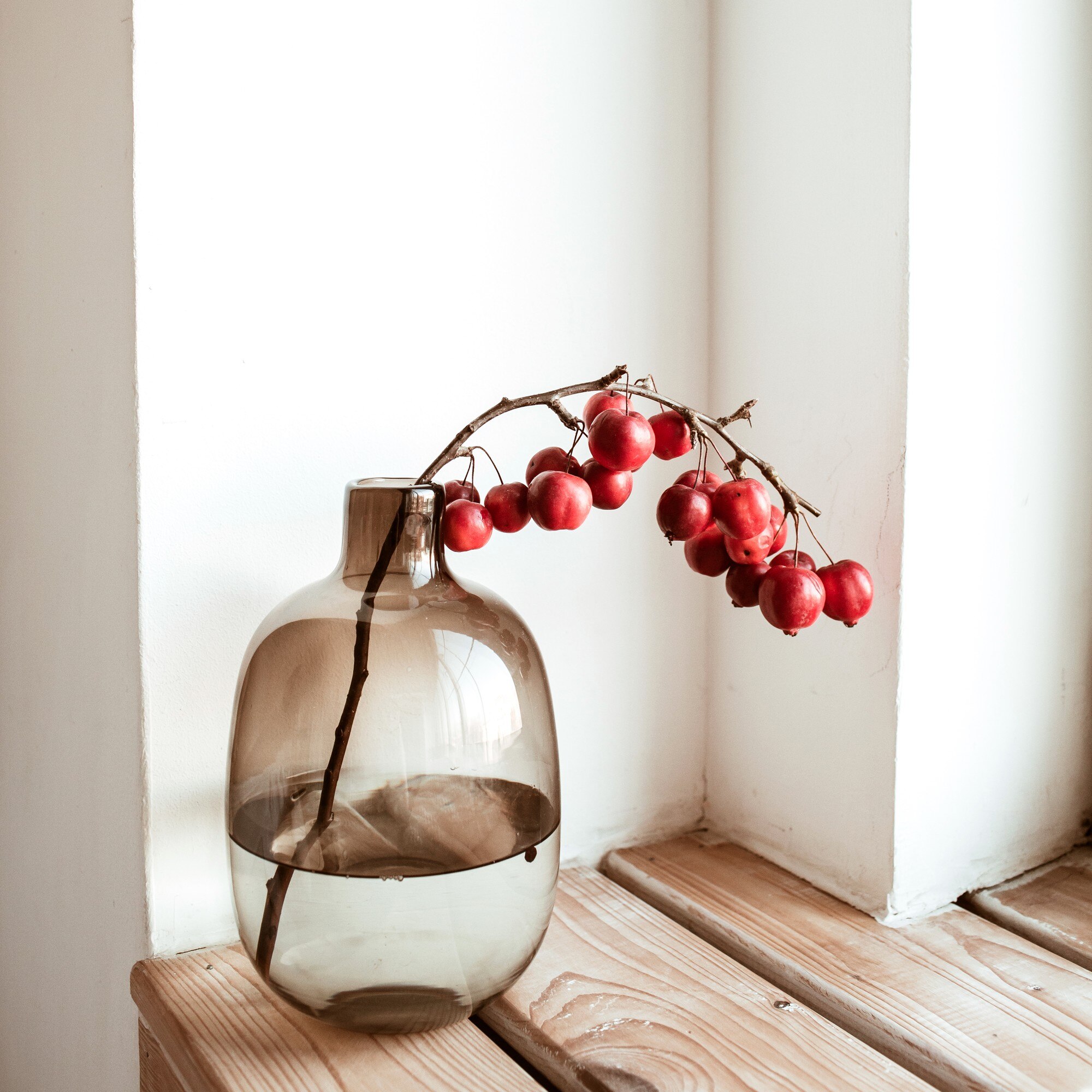 colorful red berries branch in glass vase minimal d8cda2073e855146901b