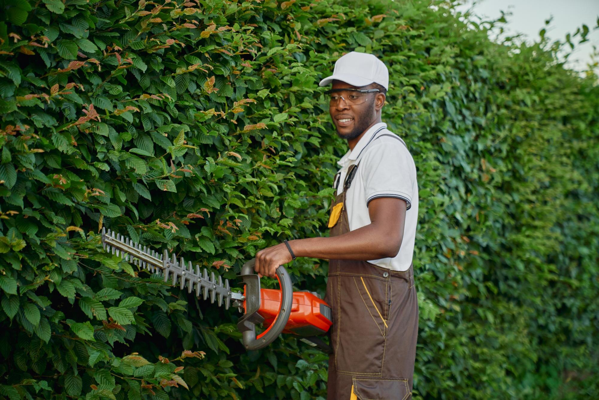 competent male gardener pruning bushes with electr 3494c1aef28f0aa1b01a
