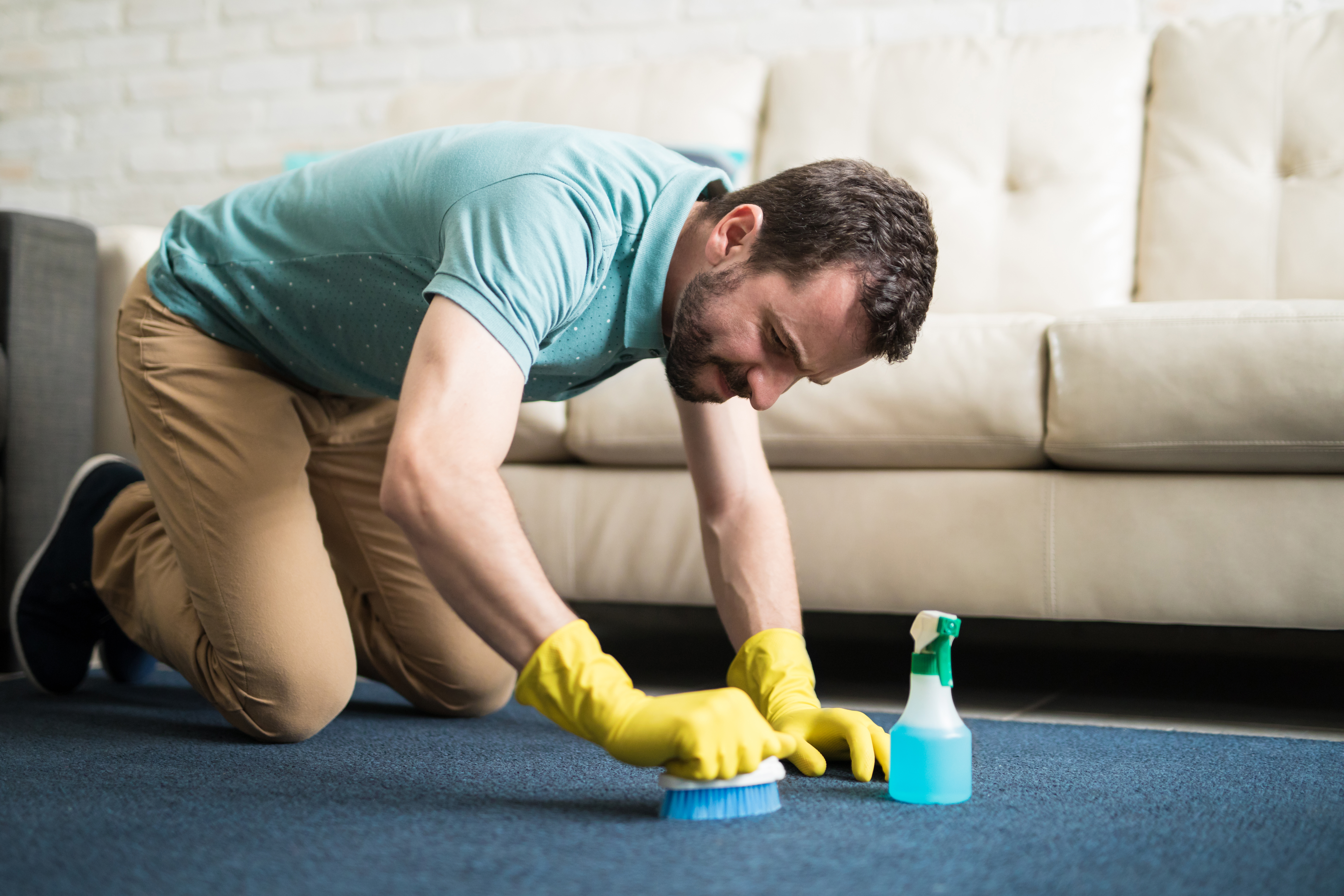 Mastering Carpet Stain Removal: Tips for Tackling Tough Stains and Preserving Beauty 1 concentrated in cleaning the rug d8be6a8f0ff7ed162630