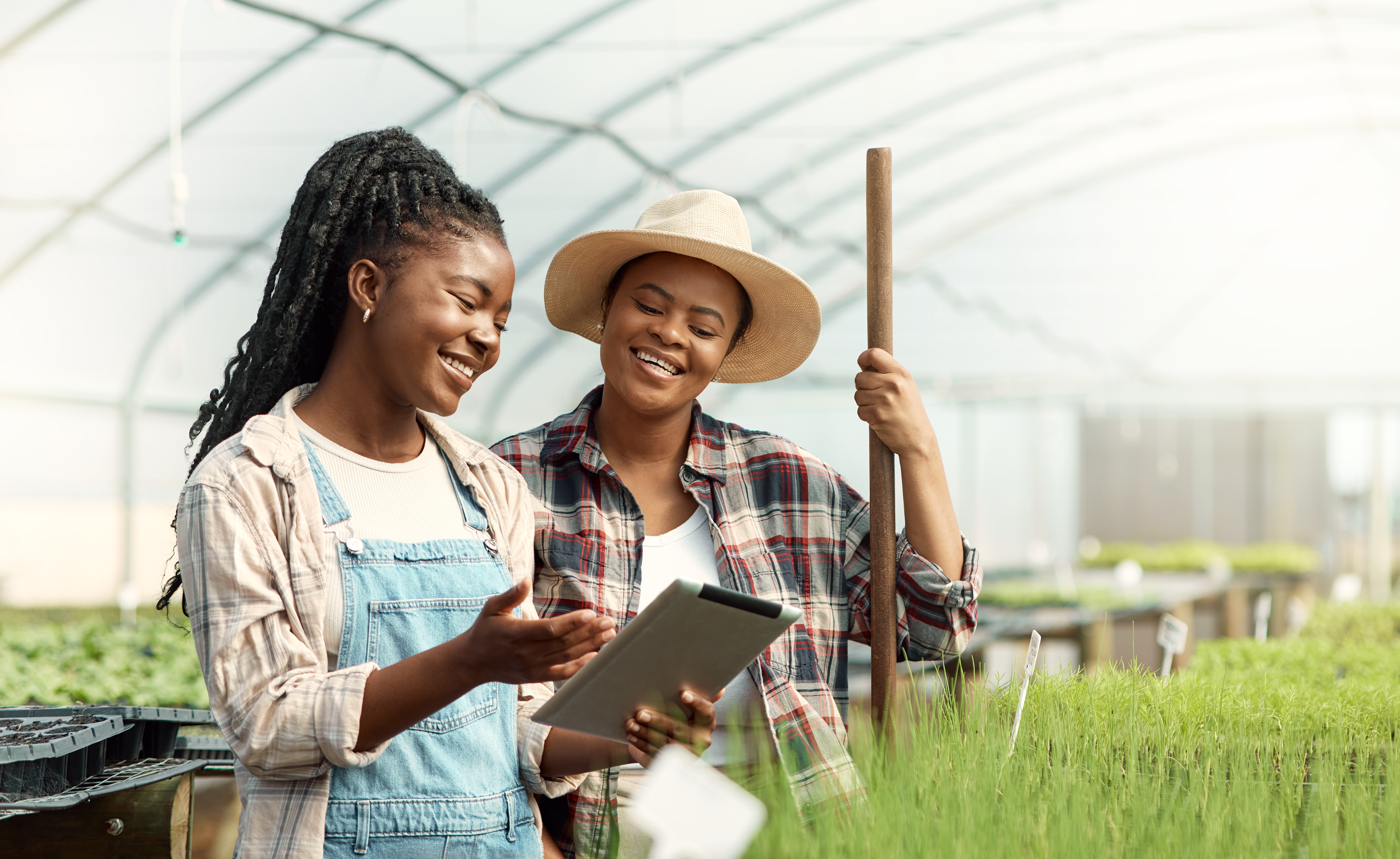 coworkers using a digital tablet in a greenhouse df0834adc7ab7a9423d1
