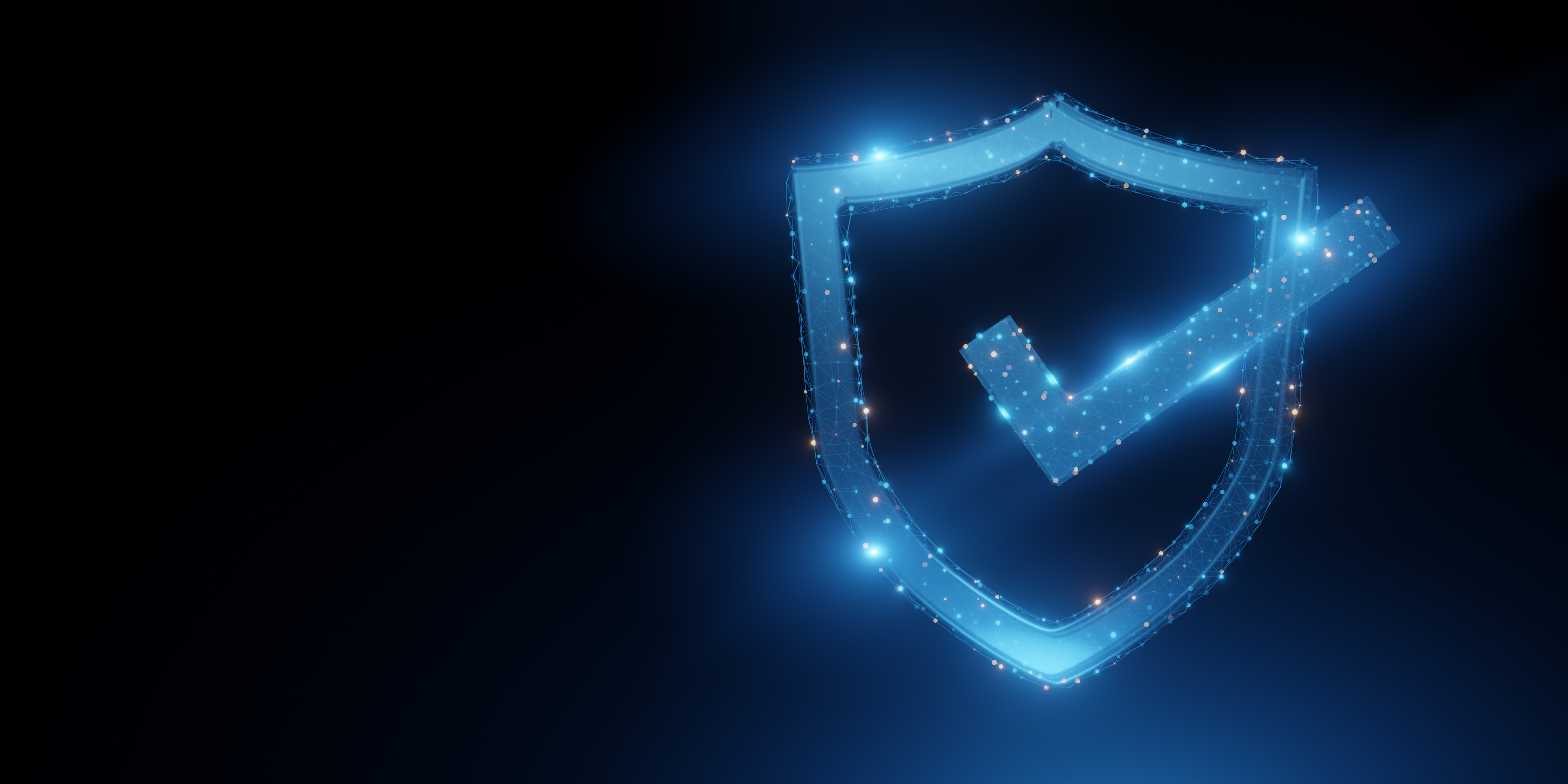 digital shield with checkmark symbolizing security 36da248d757b532dde9c