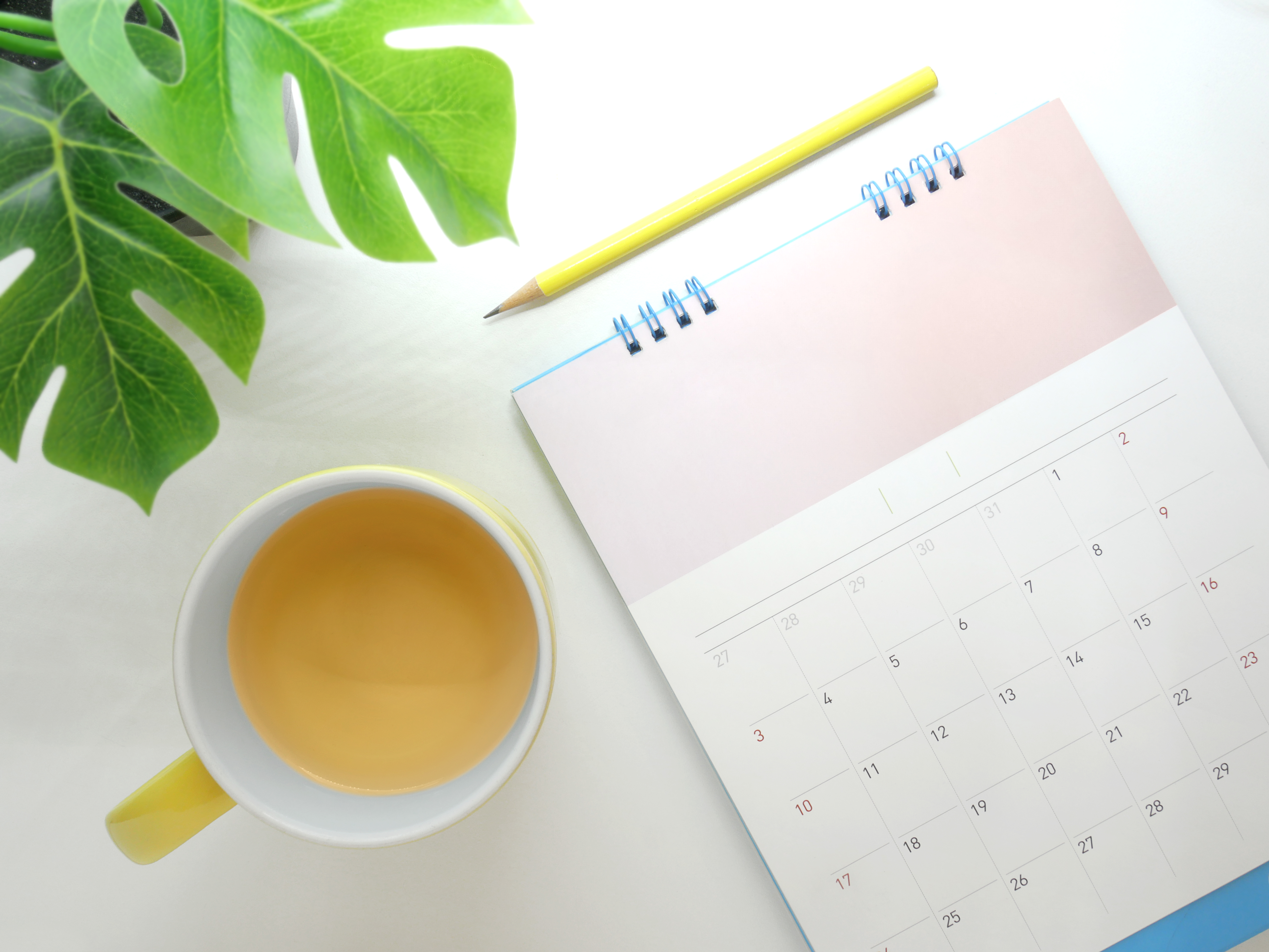 Your Guide To Managing Burnout: Realistic Self-Care That Works 4 Directly Above Shot Of Tea Cup And Calendar On Whi 03424Eb32Ae0A28D9555