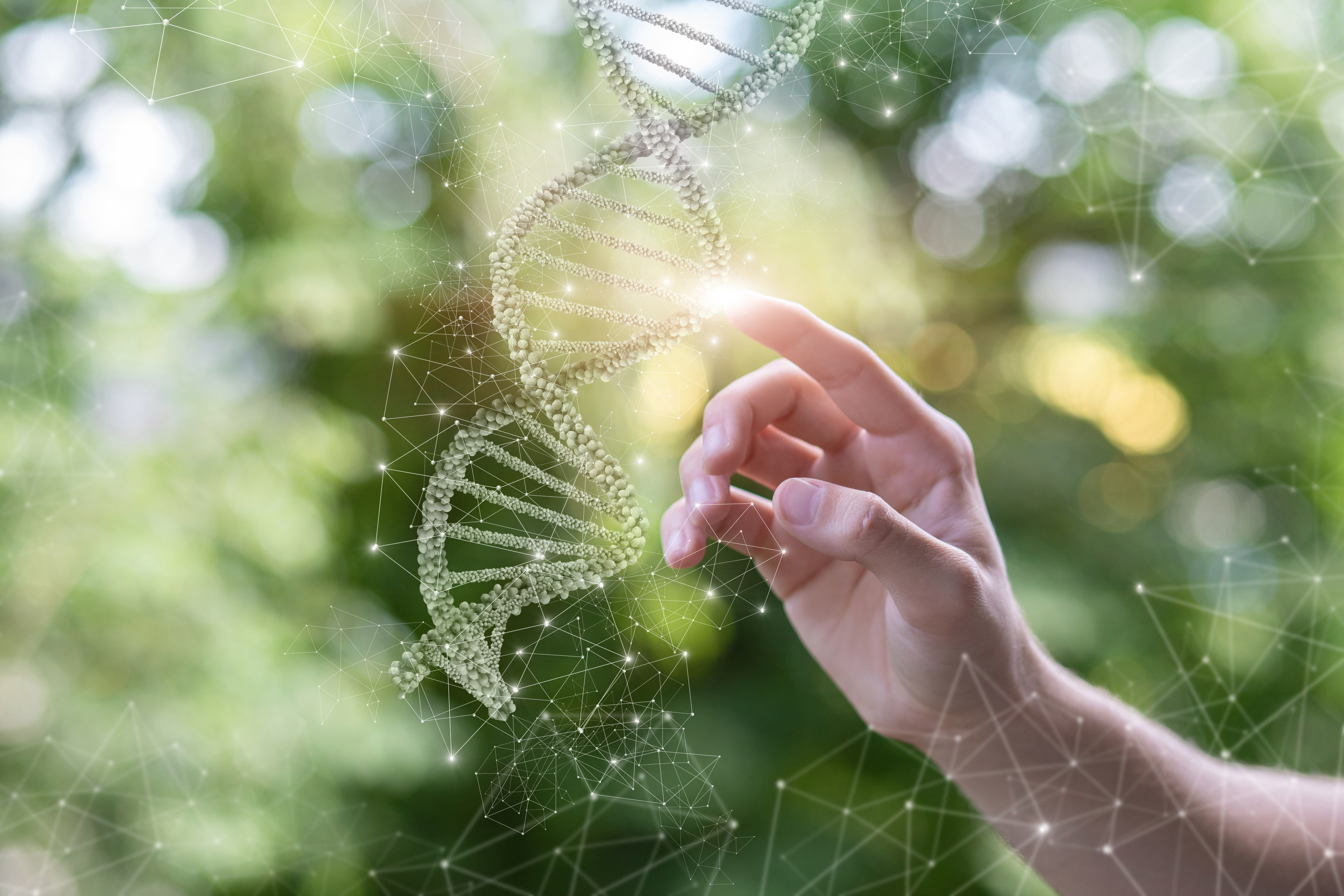 Dna Molecule Research Concept 8D439E2560C1482616Cd