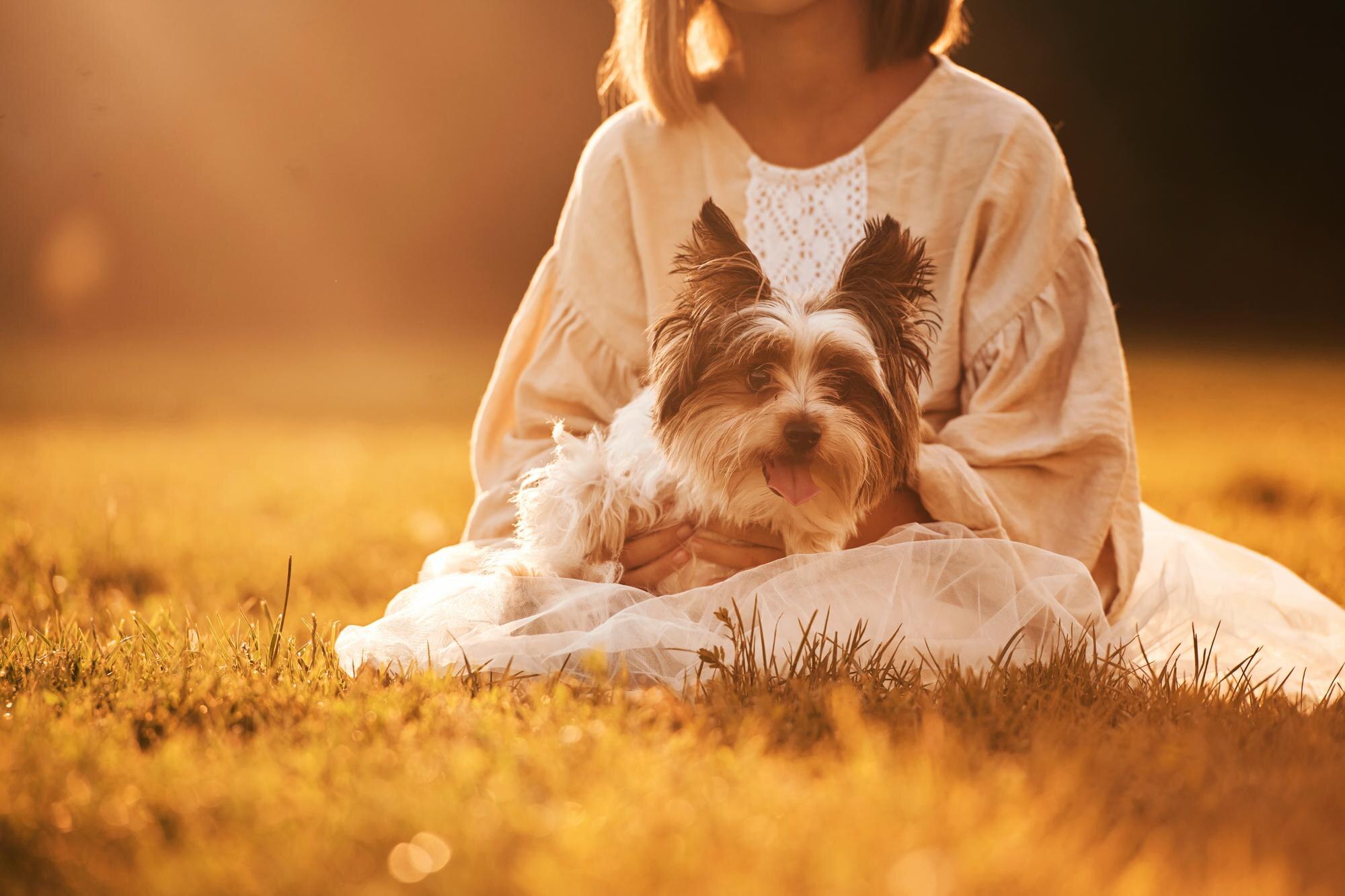 In-home Dog Care Tallahassee