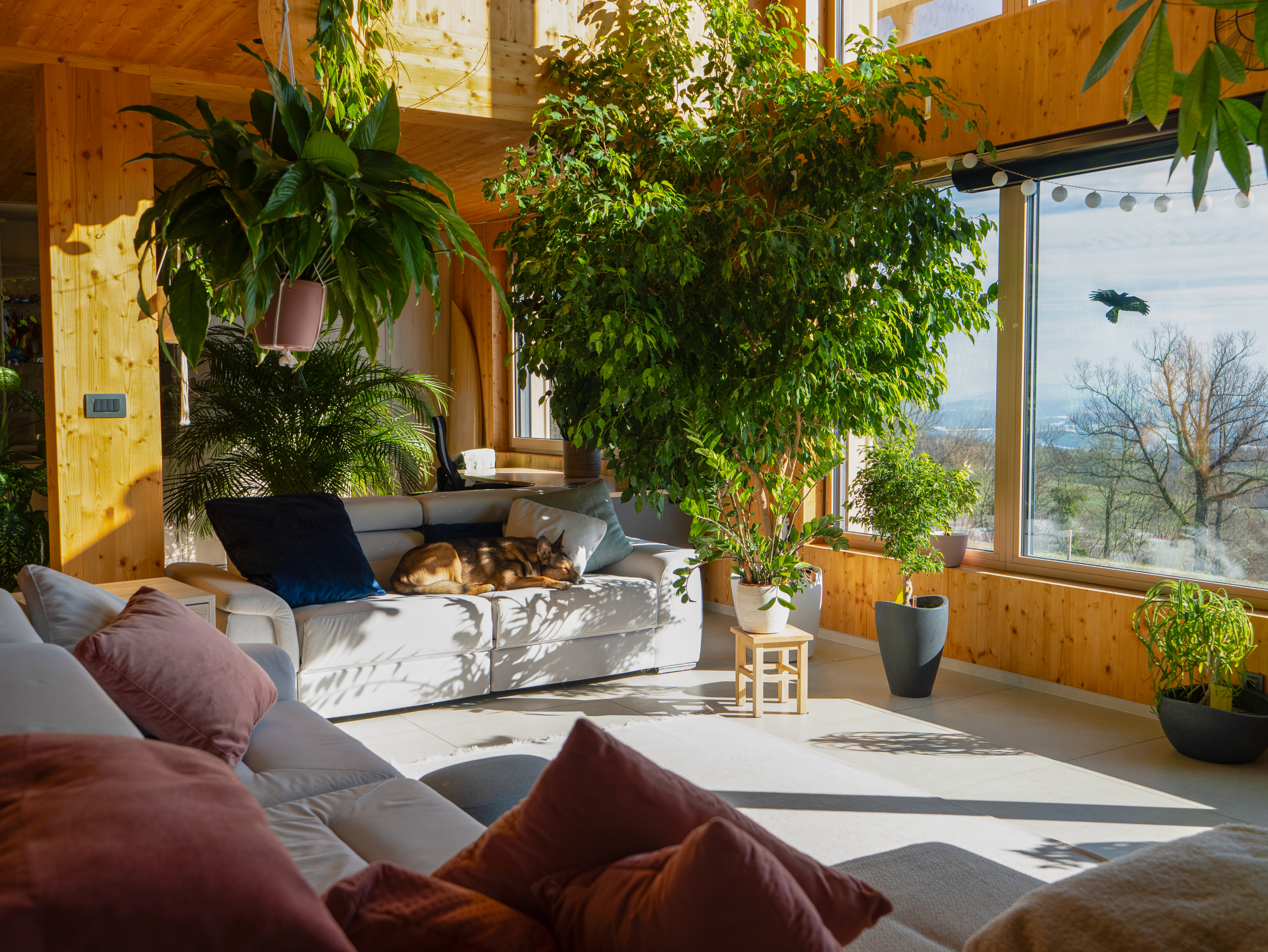 Creating a Healing Sanctuary at Home: Nurturing Spaces for Cancer Recovery