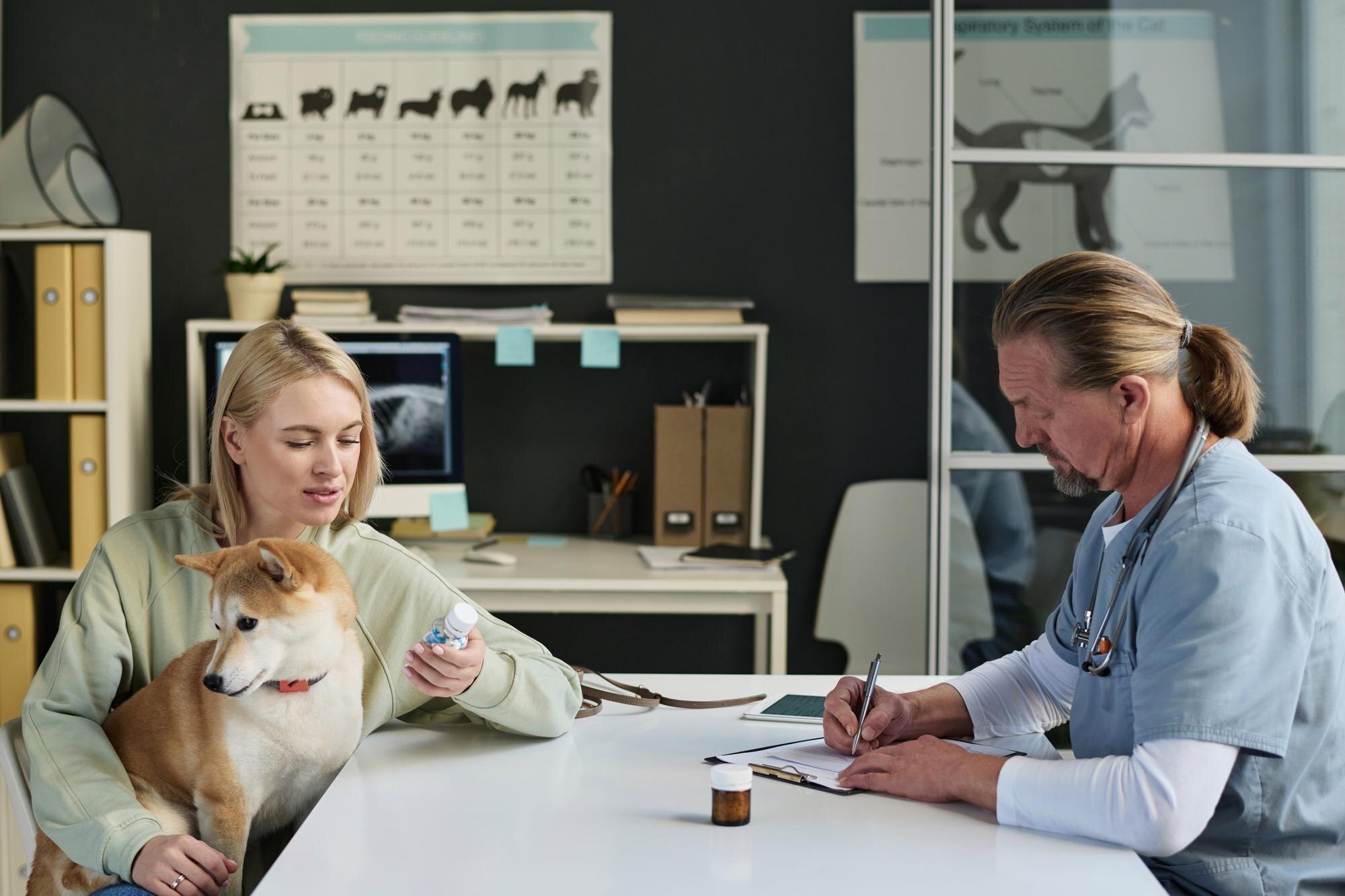 dog owner consulting with veterinarian during appo 899eaf1fd7fa920b7faa