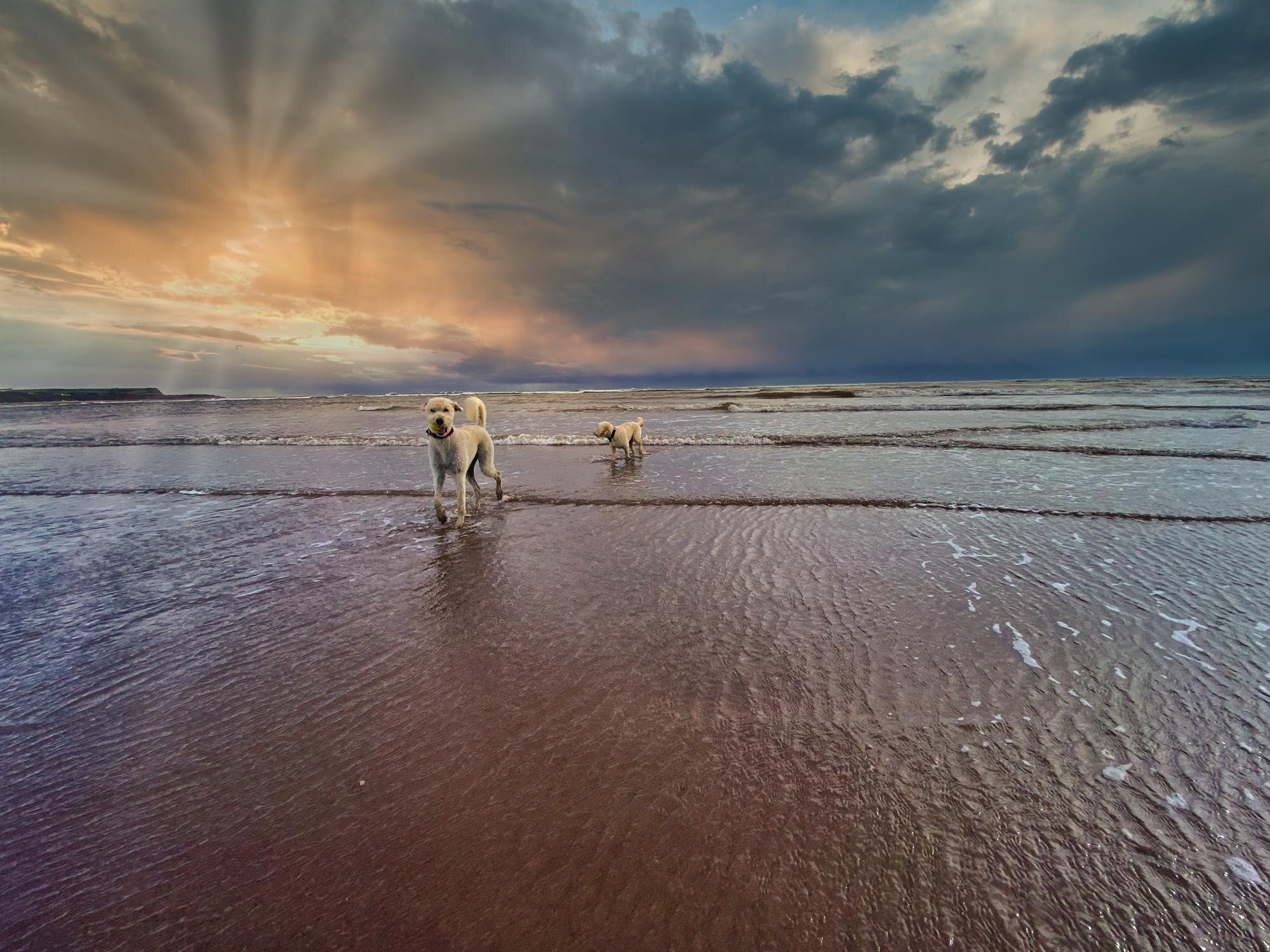 scattering ashes at sea uk