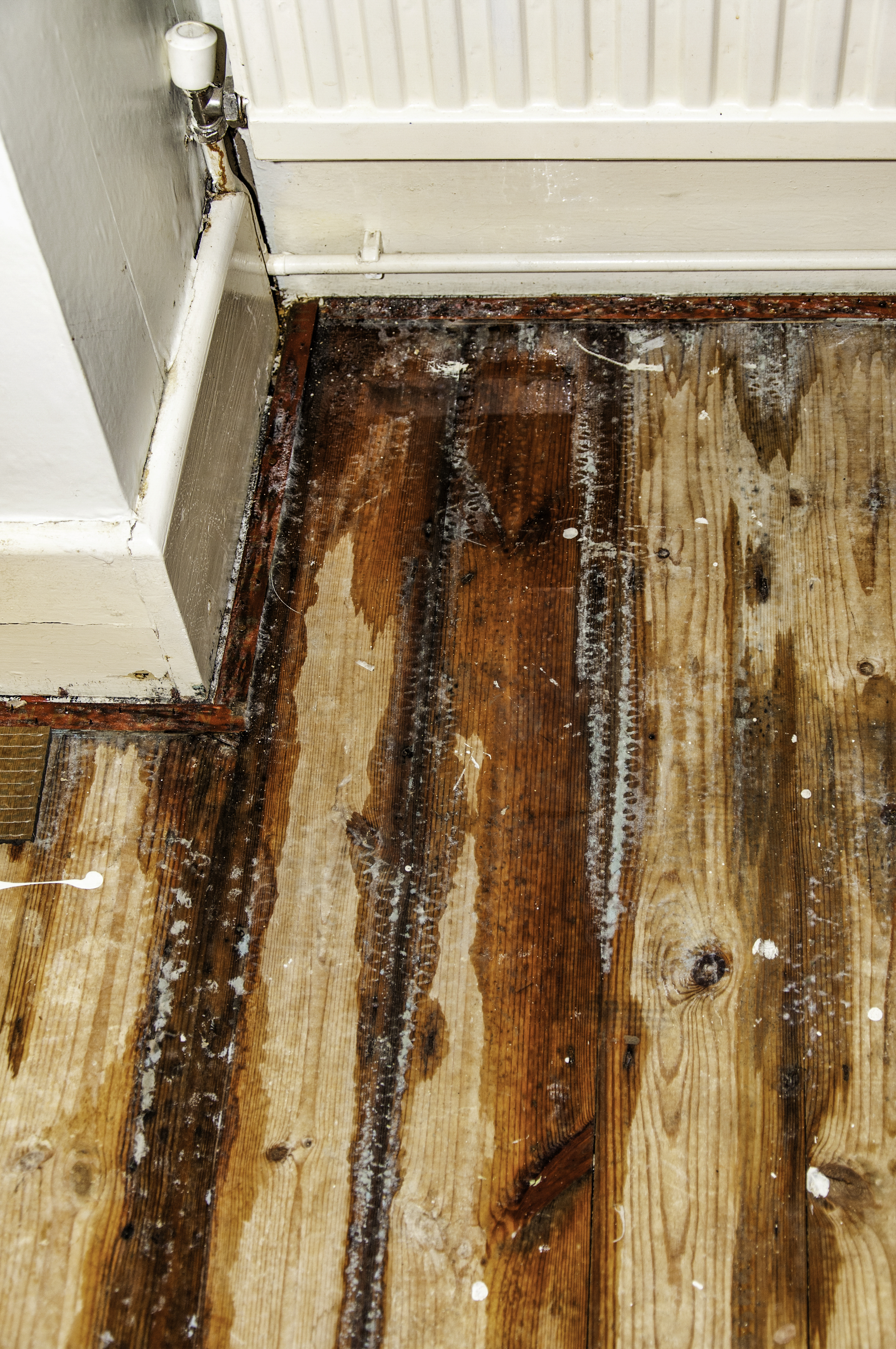 Domestic water leak from a radiator 9eb9a5a8566ffc0772ce