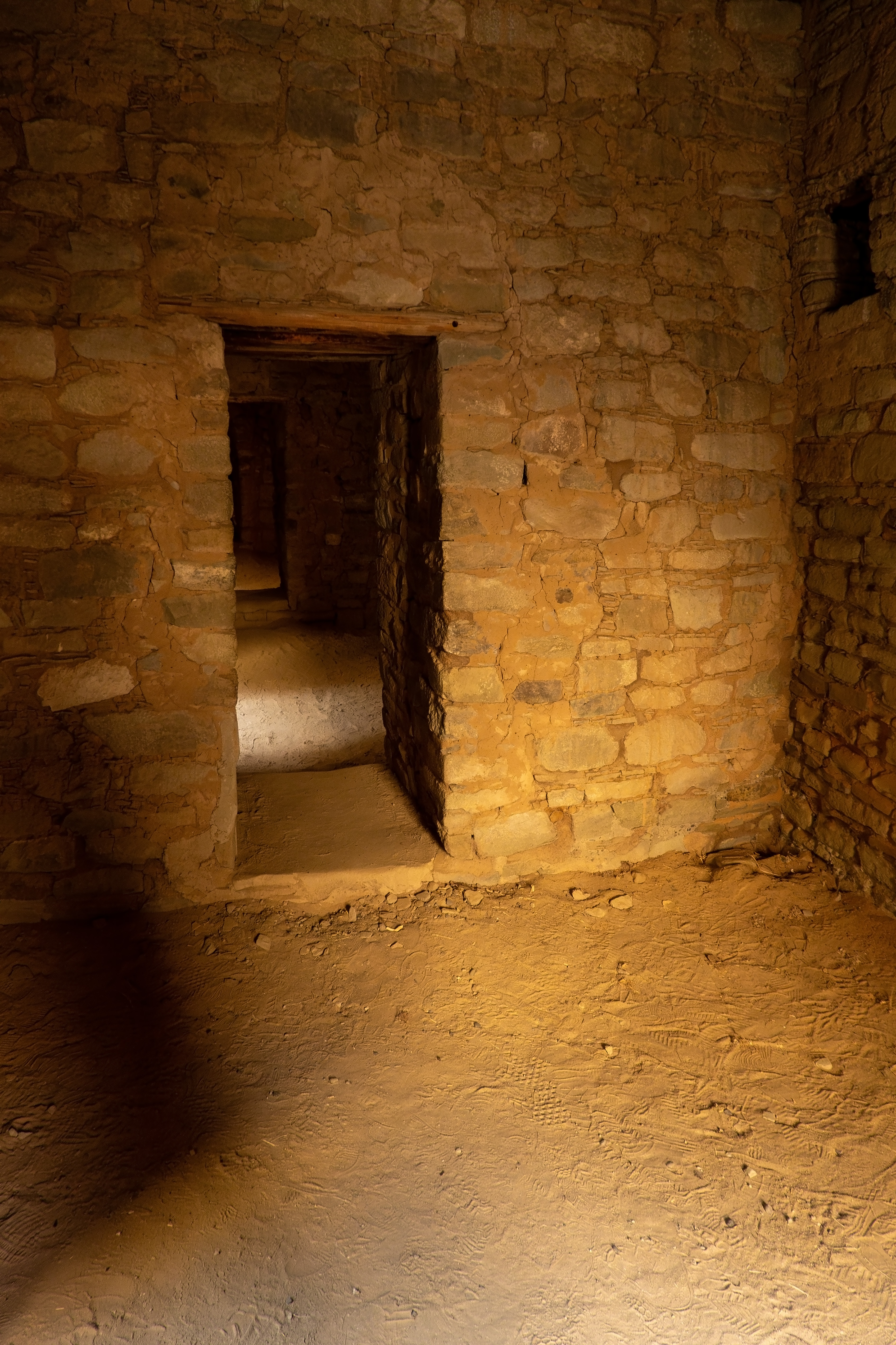 Discover New Mexico’s Cannabis Roots: A Cultural Journey at Elevation 6420