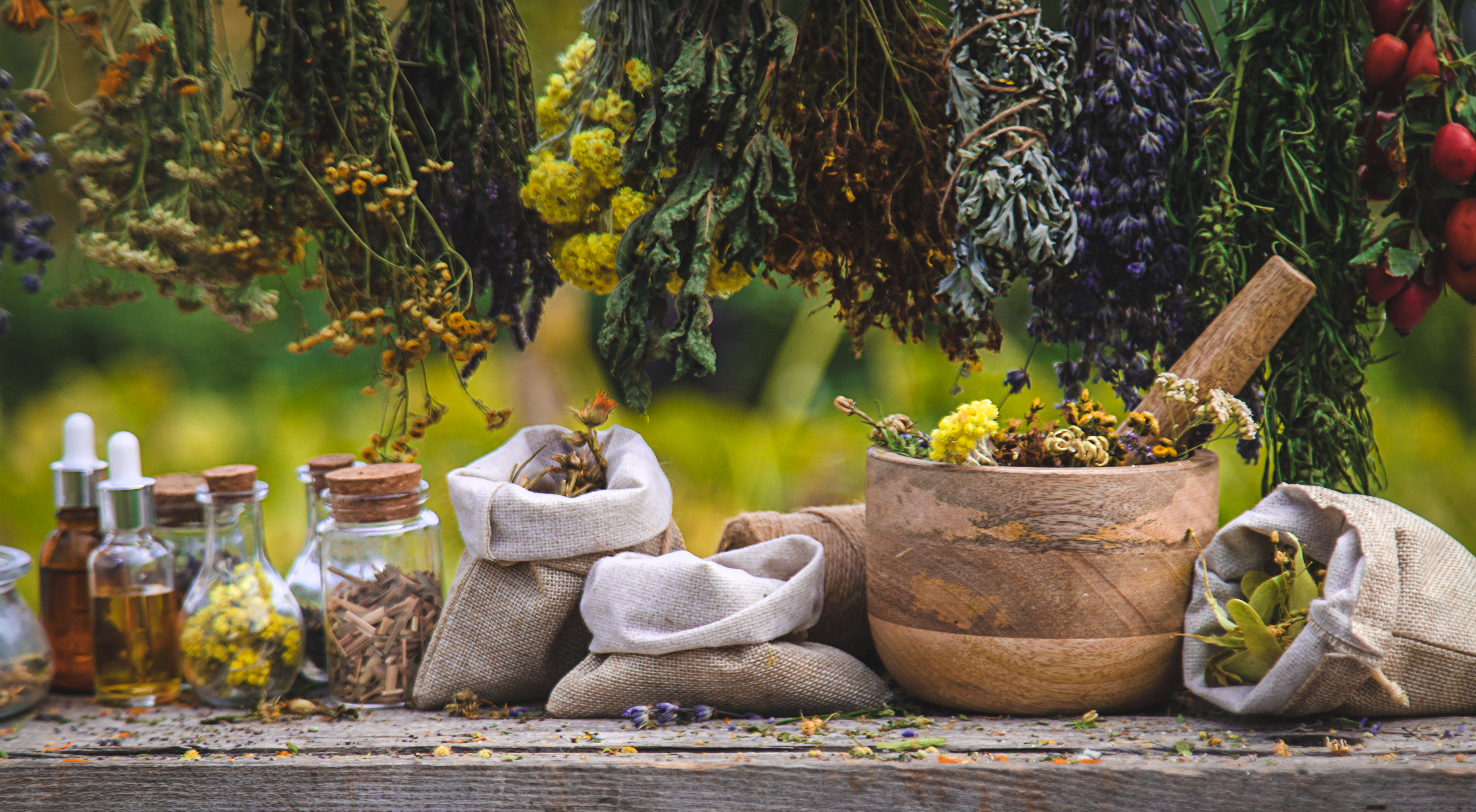 Embracing Ancestral Wisdom: A Modern Guide to Herbal Remedies for Spiritual Seekers