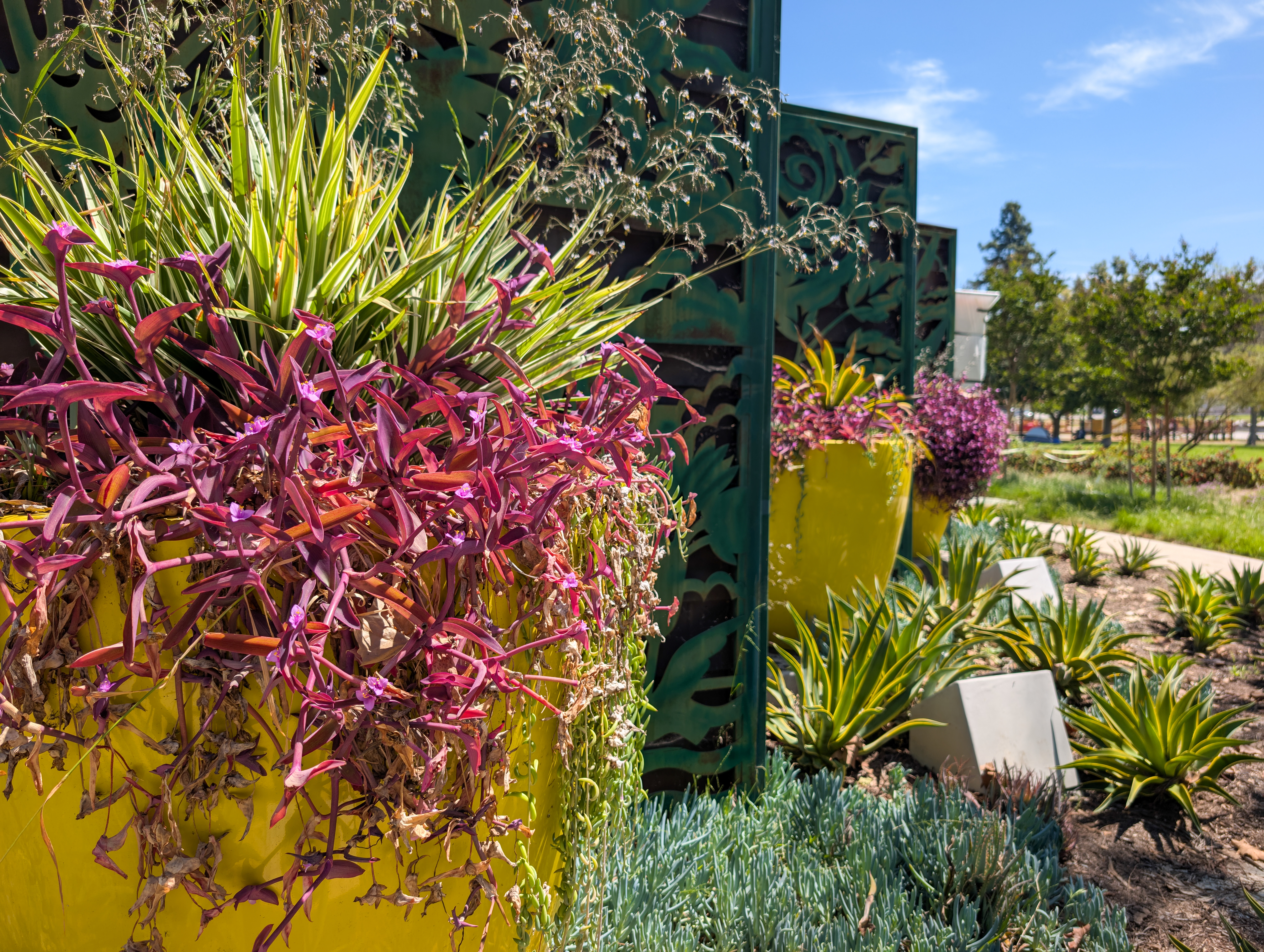 Conception de jardin sur mesure résistant à la sécheresse