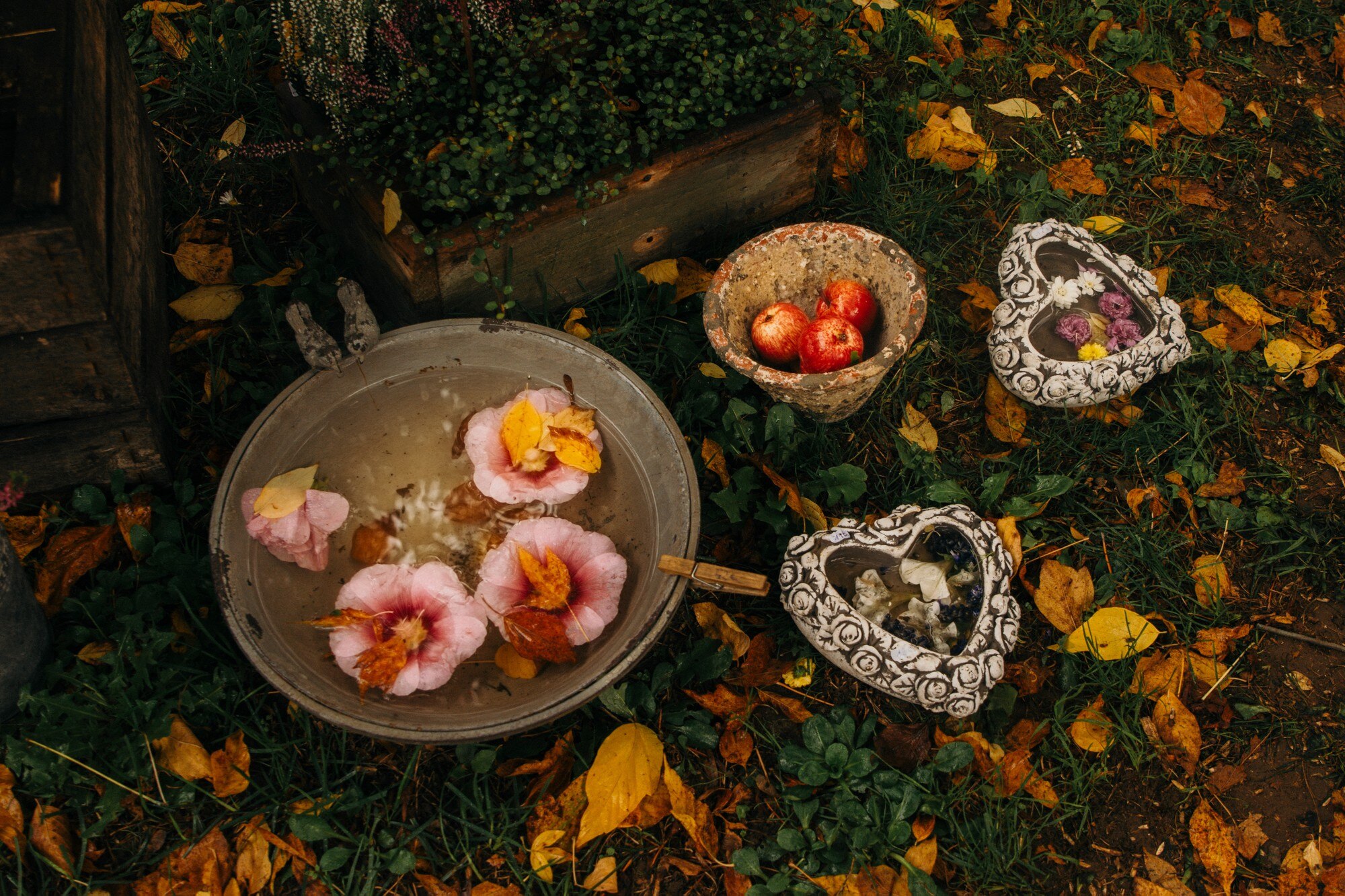 dry flowers and leaves float in the water in the g c58d43bd64b2e126094d