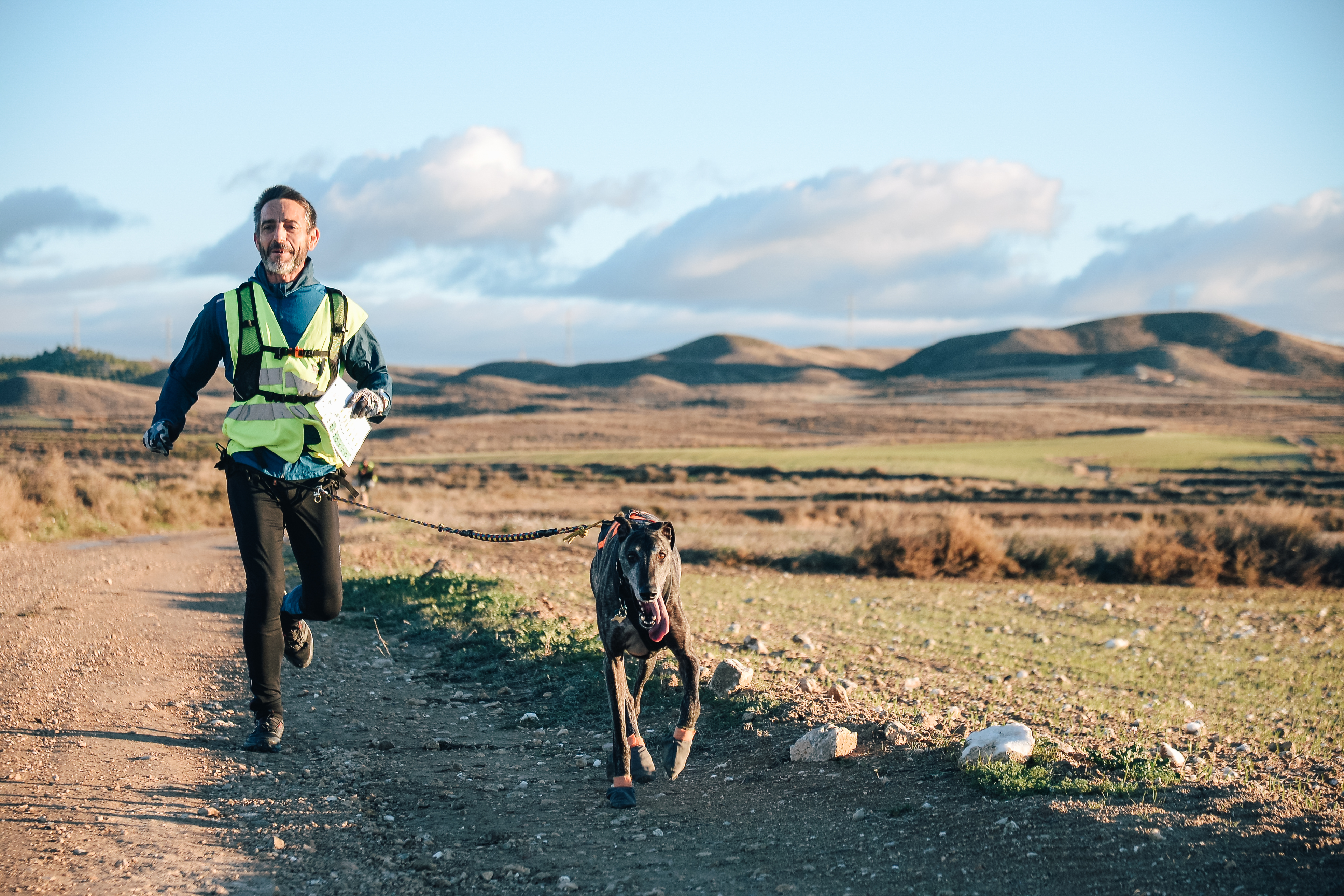 Artículo condroprotectores 2