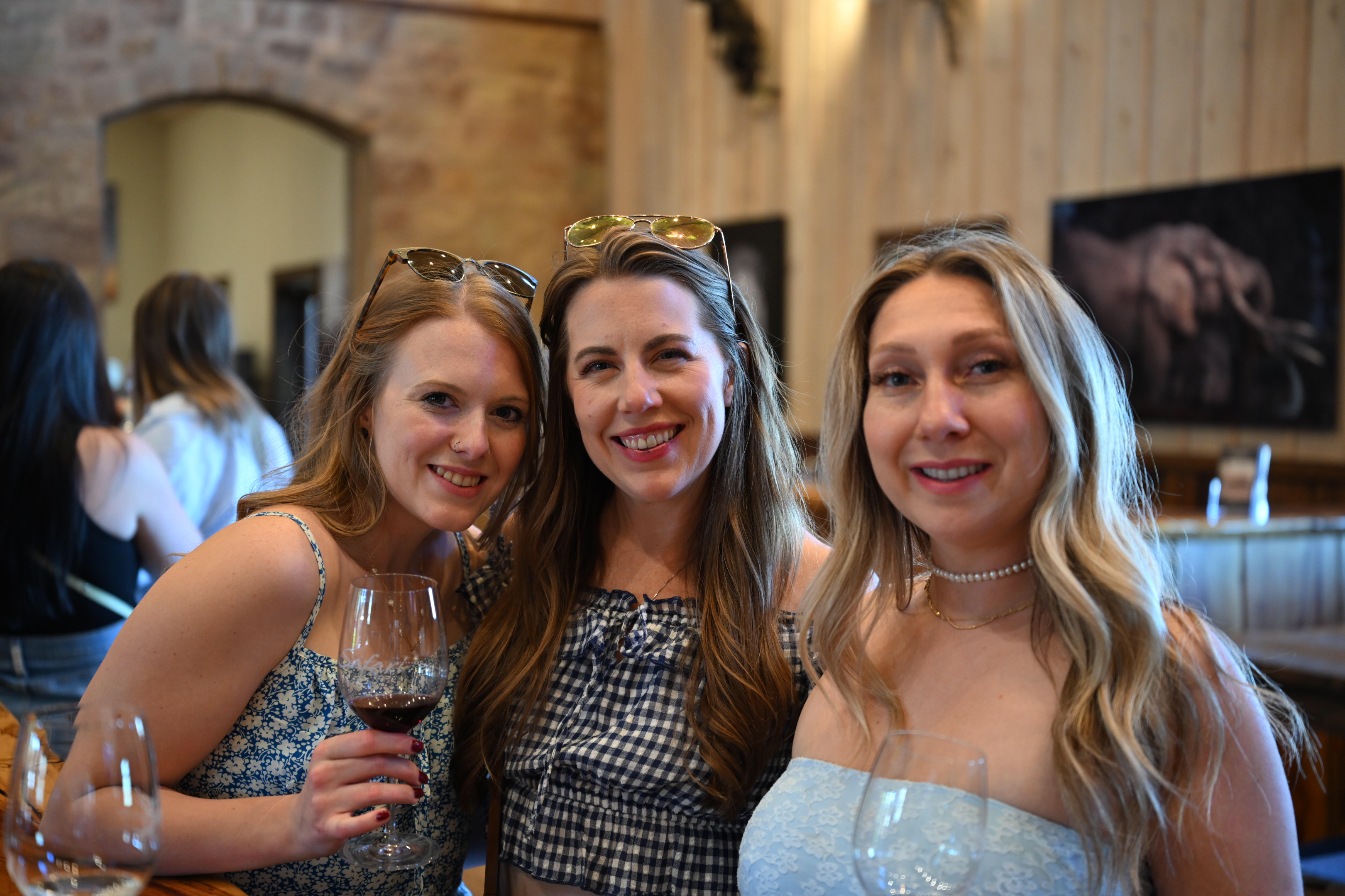 Hill Country Wine Tour