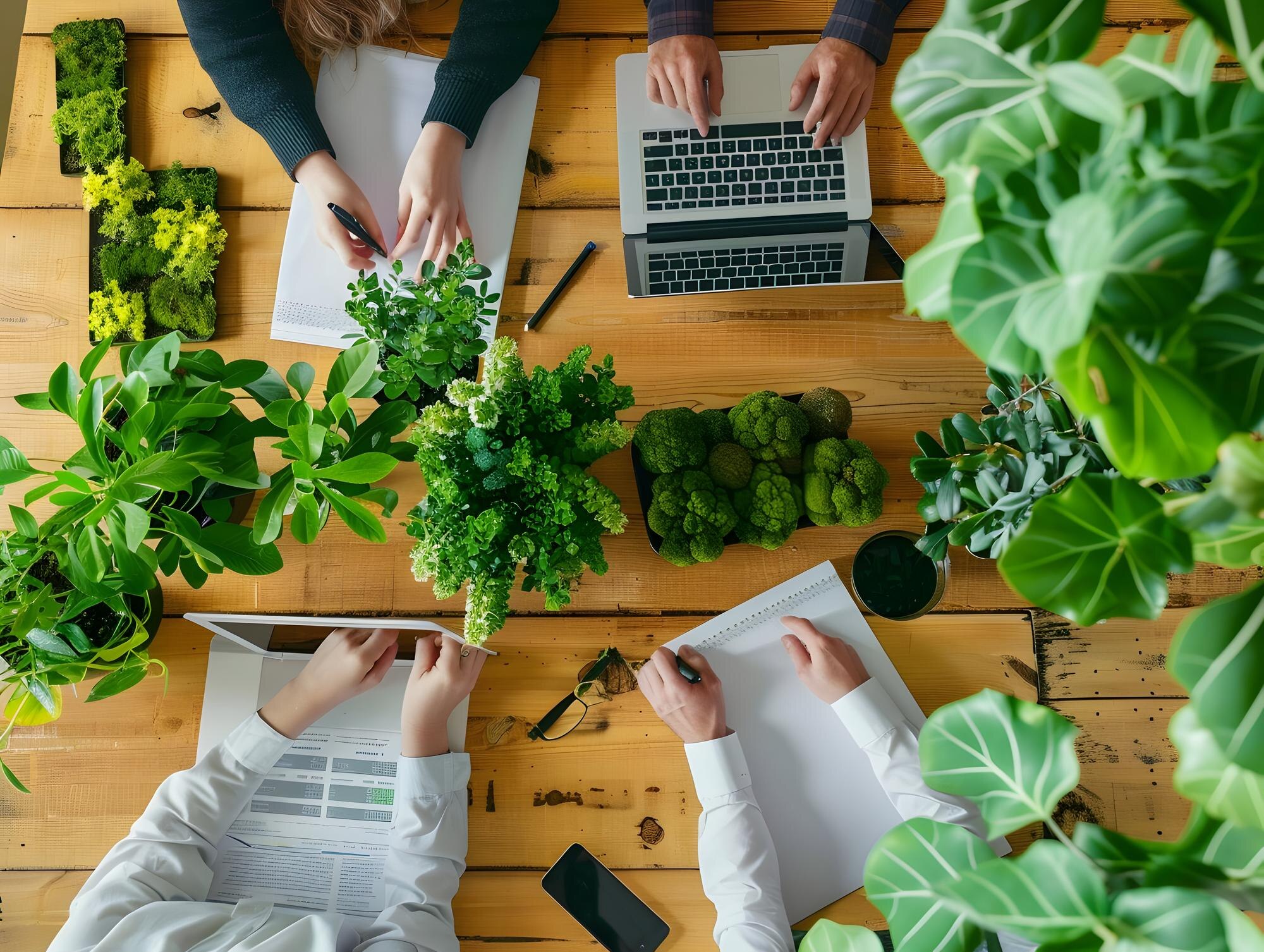 ecofriendly business summit ecofriendly company me 2388564793f7406f8506