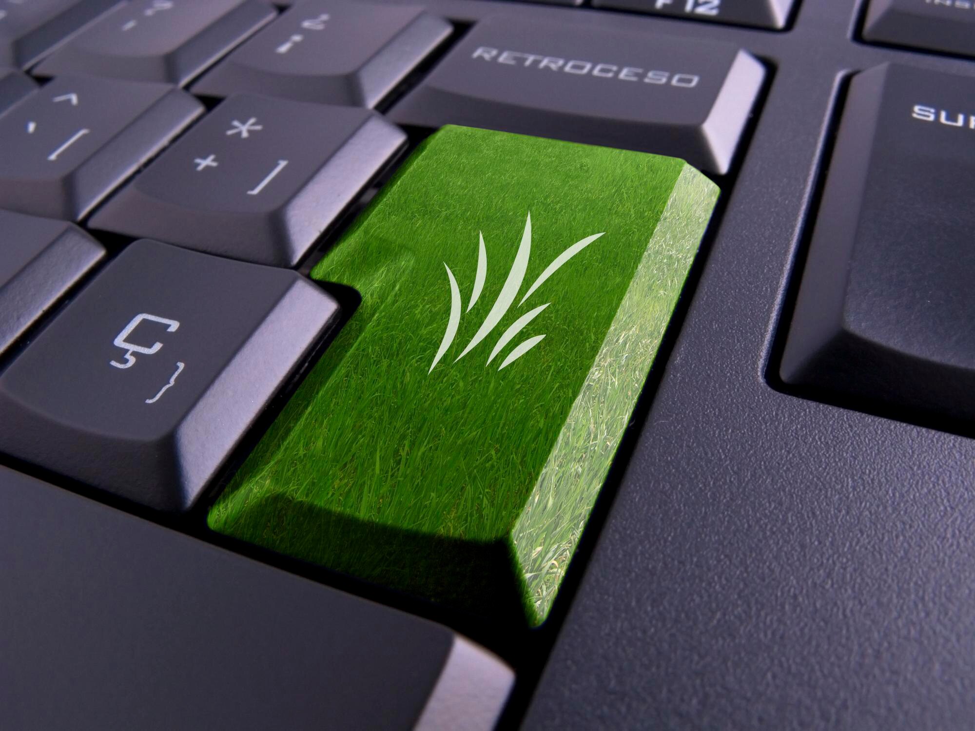 Green hosting for small businesses: save money, boost your brand, and cut carbon 3 ecology a88fd005488040d2cadd