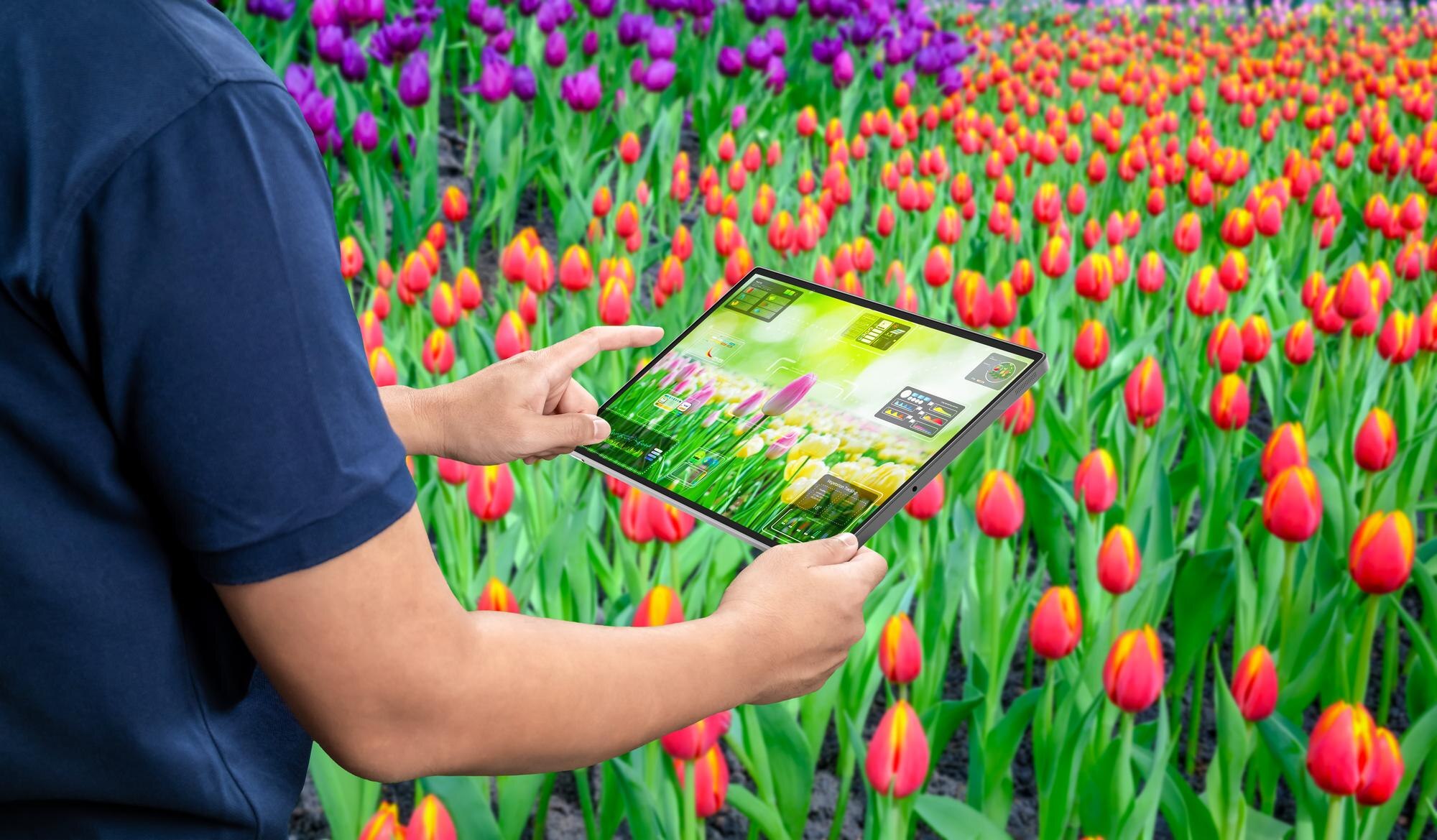 Effortlessly Boost Your Landscaping Business's Online Reviews with AI