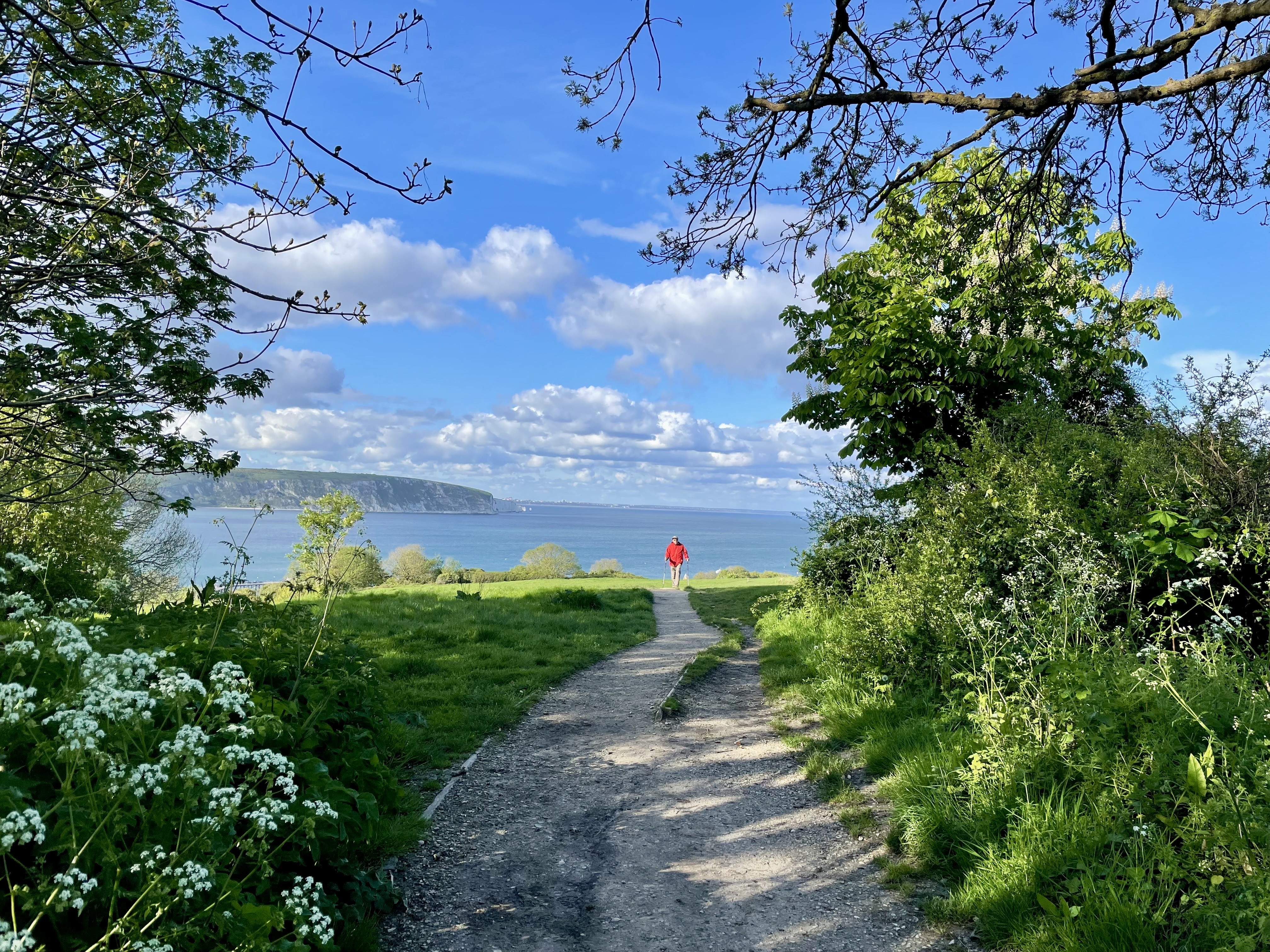 evening walk on swanage downs c8a7dfa0165e0a2e4643 BTOURS