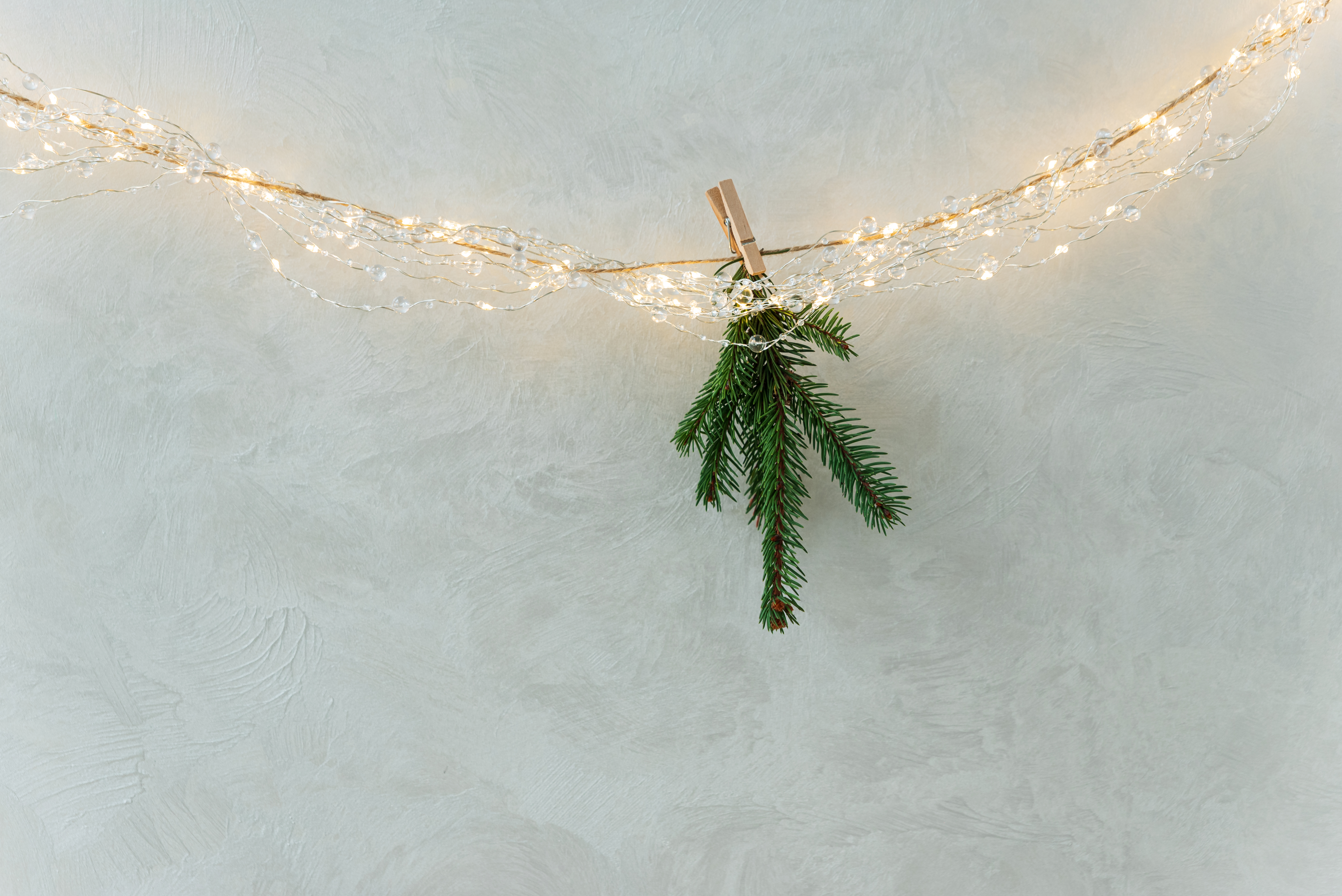 evergreen sprig hanging on string lights against t bb3201d484937945e325
