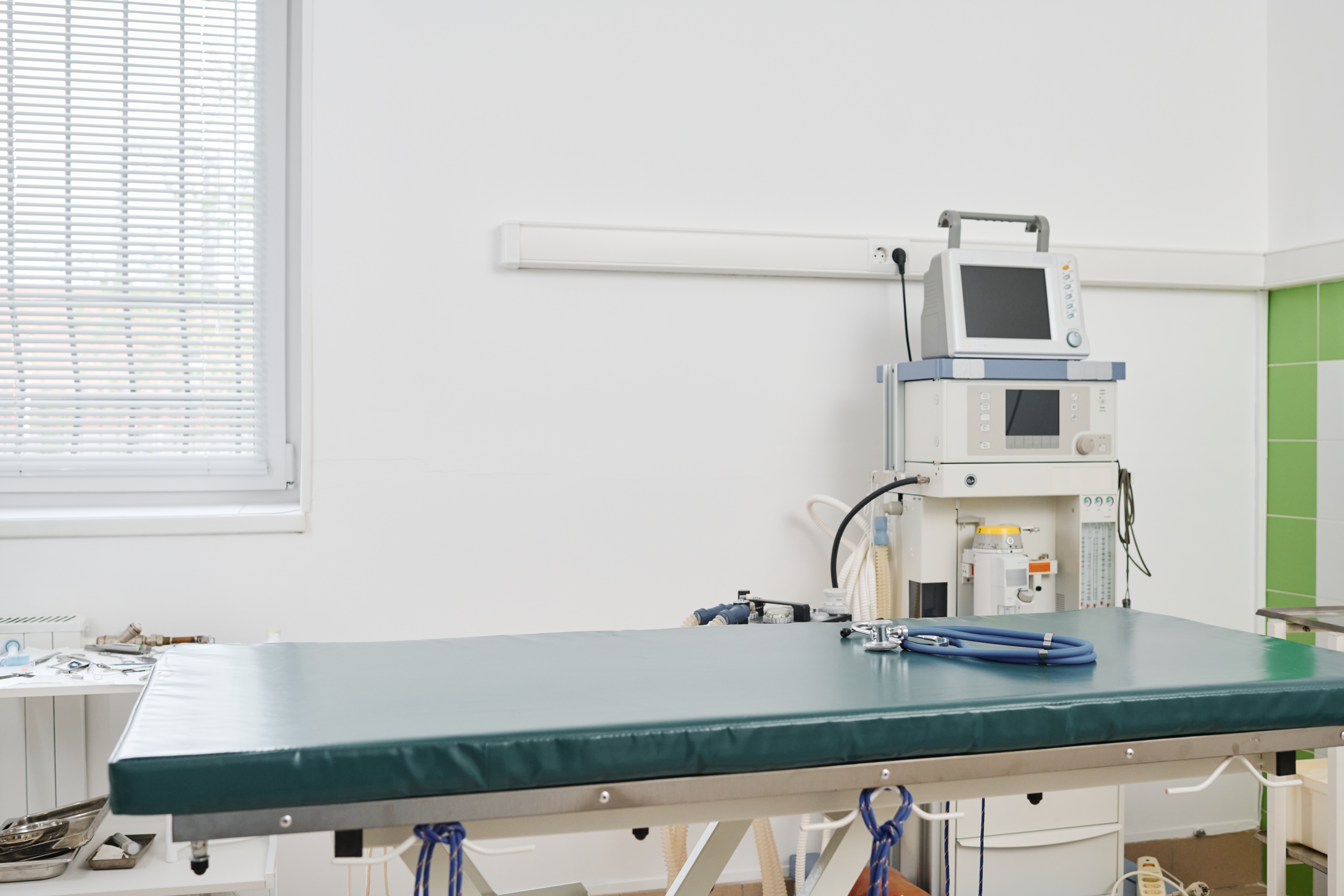 exam room in vet clinic 7056c6e9ad1336516cb6