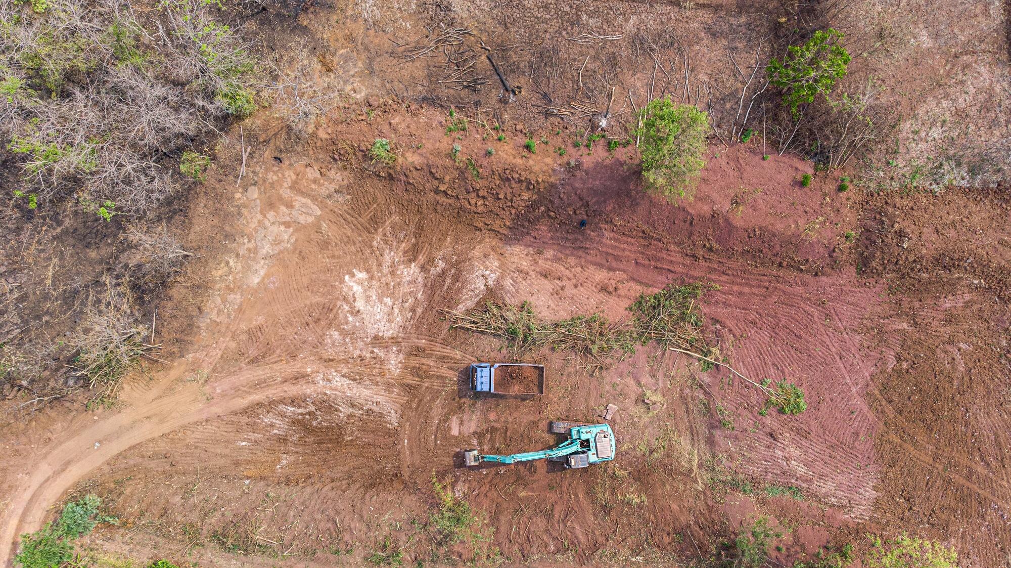 Land Clearing Techniques for Texas Hill Country