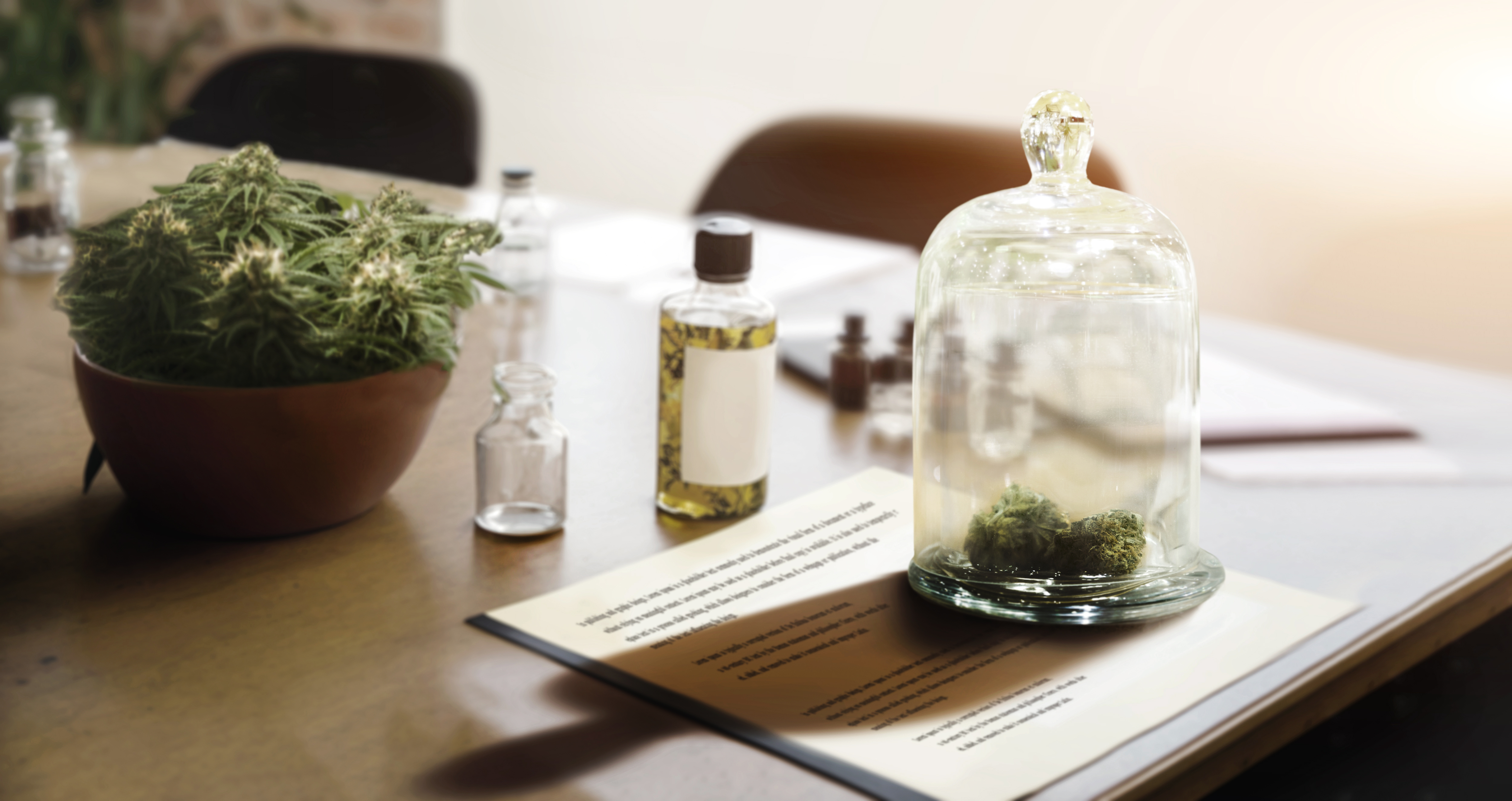 Unlocking the Secrets of Cannabis Culture: Dive into Our Unique Museum Experience