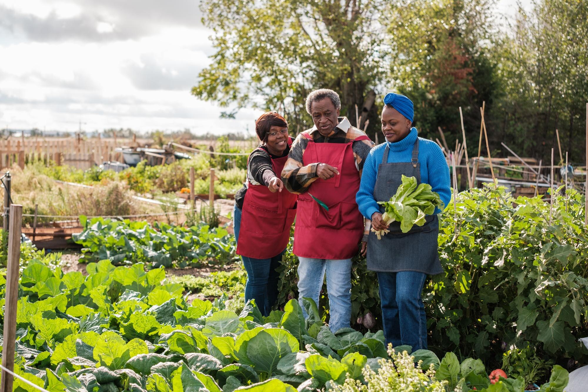 family collecting vegetables in their urban garden a3f0b103bec23358c67e
