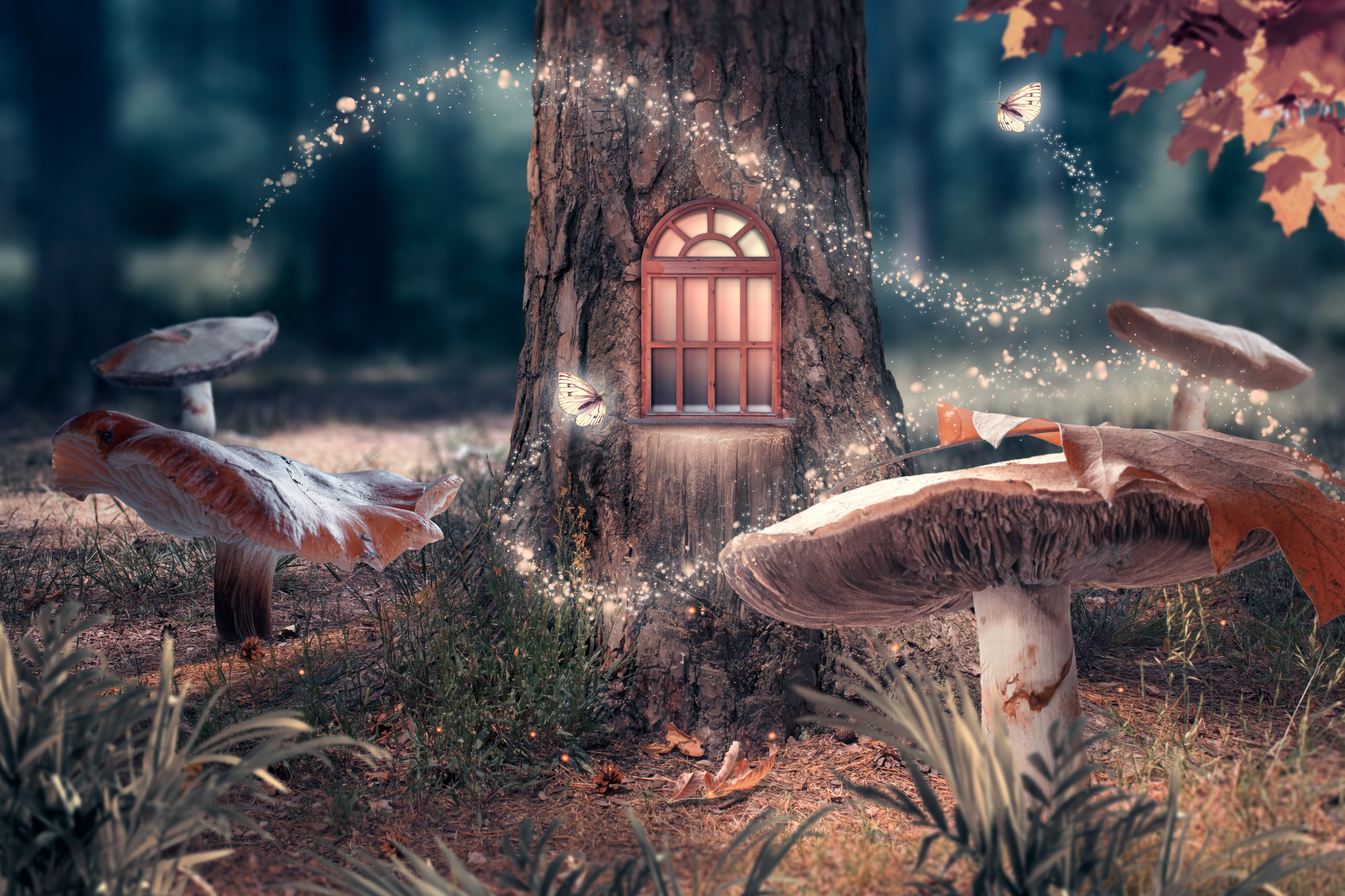 Exploring the Fairy Village: Enchanting Adventures Await!