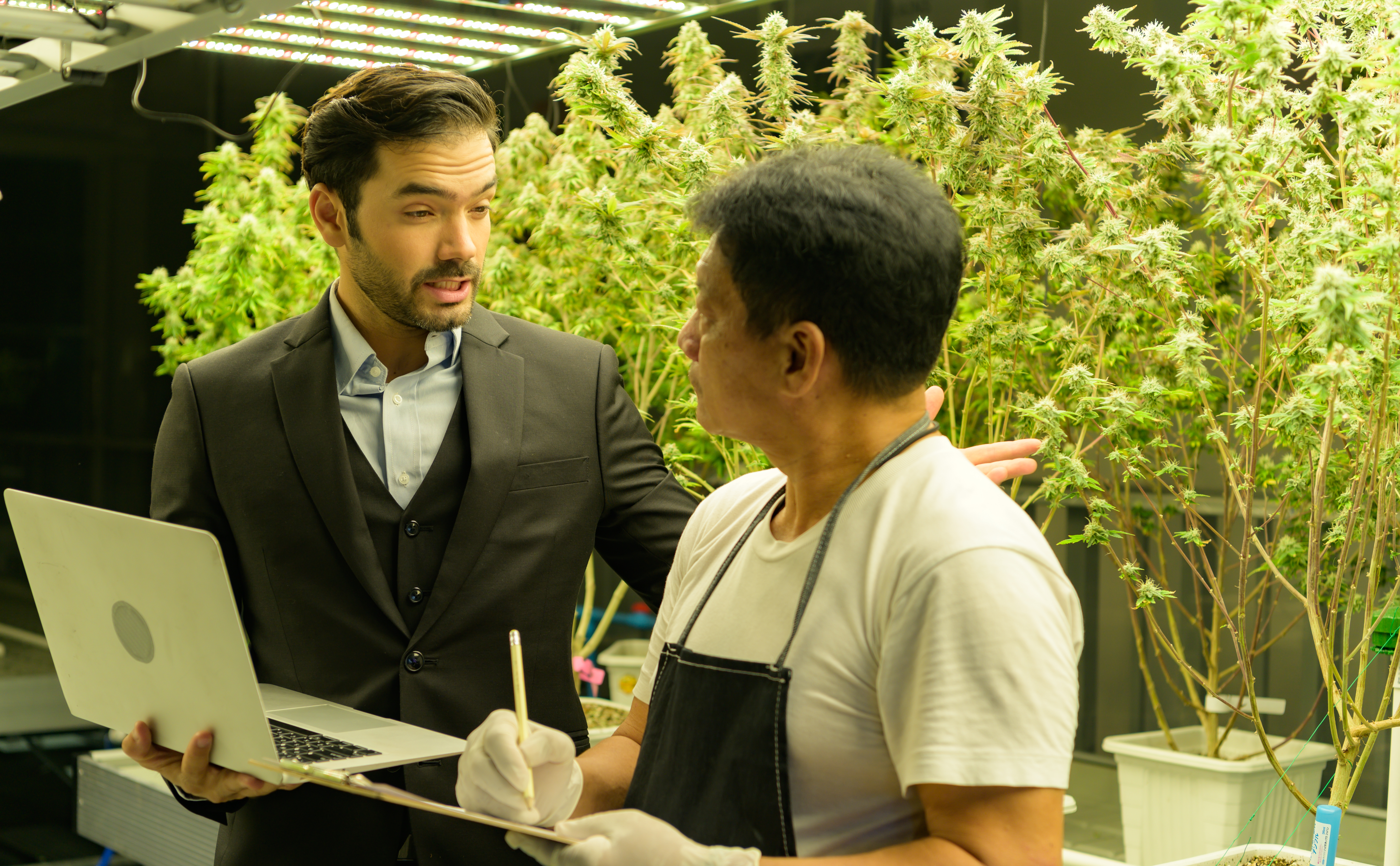 Veteran Leadership: The Edge Driving Cannabis Tech Innovation and Compliance