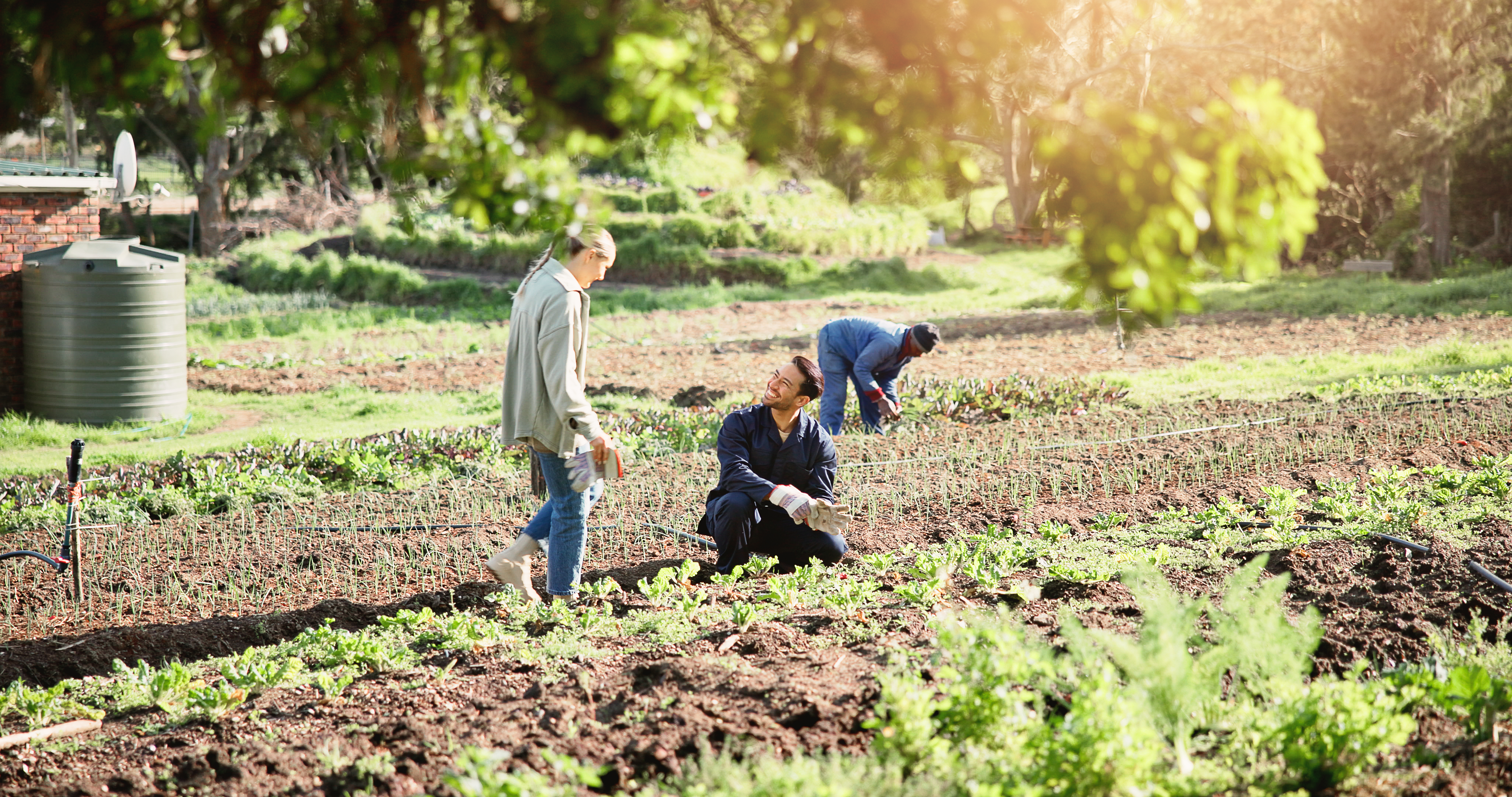 Eco-Friendly Choices Start with Knowledge: The Surprising Benefits of Agricultural Awareness 3 farming inspection and crops with people in natur a4422e2c270a172af582