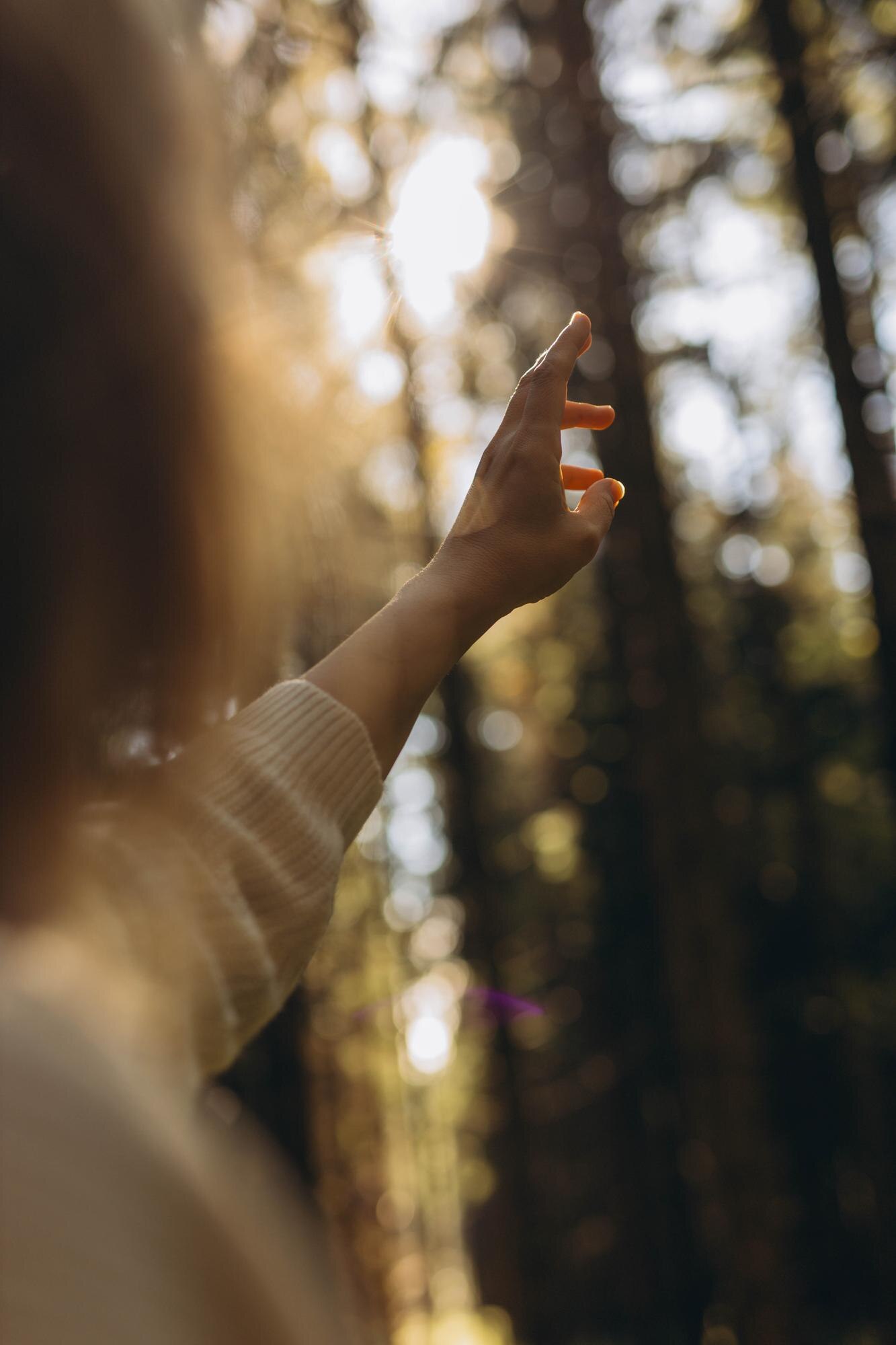 female hand reaching toward sunlight through rays 4e7e0318ea1b26d3d450