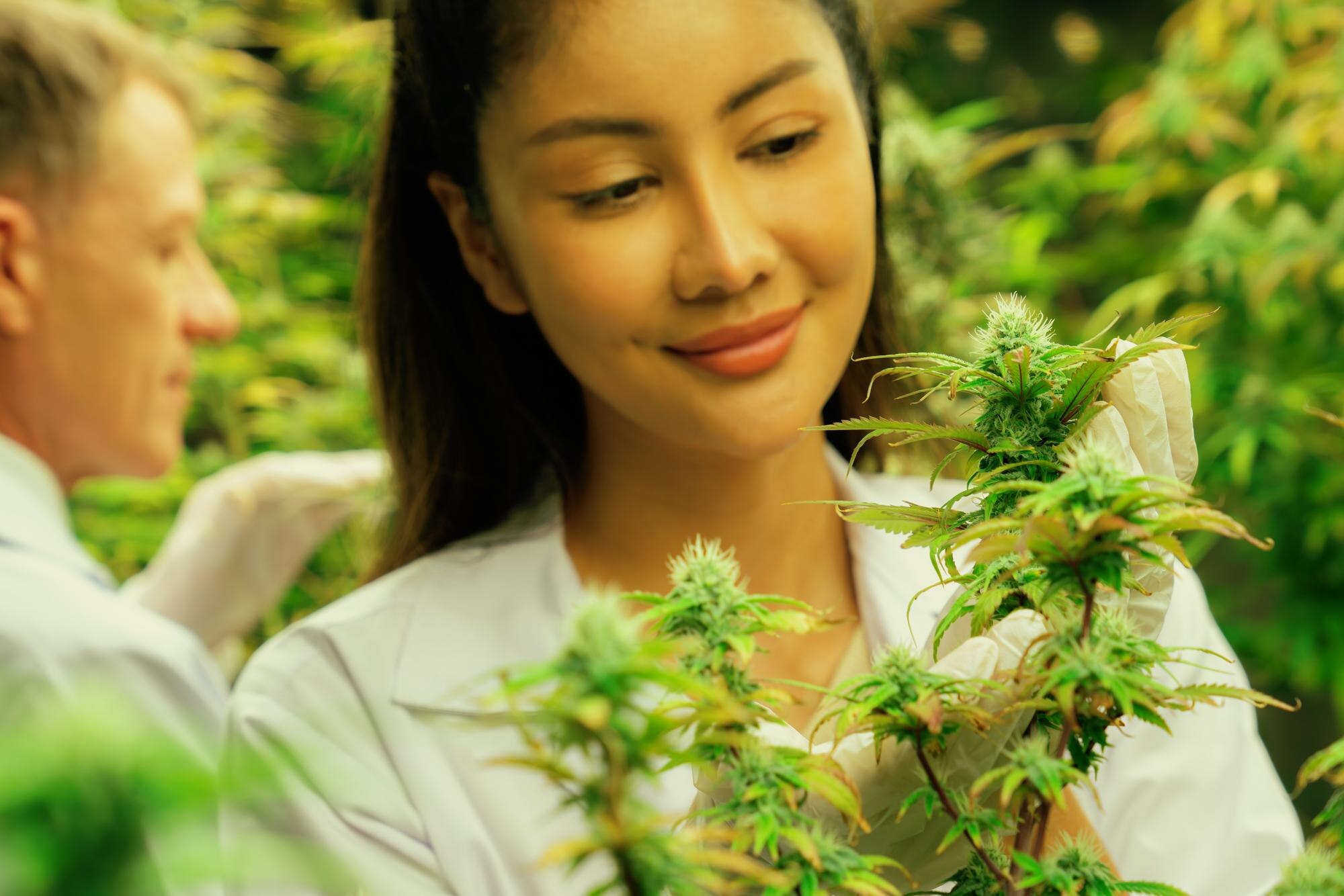 female scientists working at cannabis hemp and gra d9c897b0fcd72969d87e