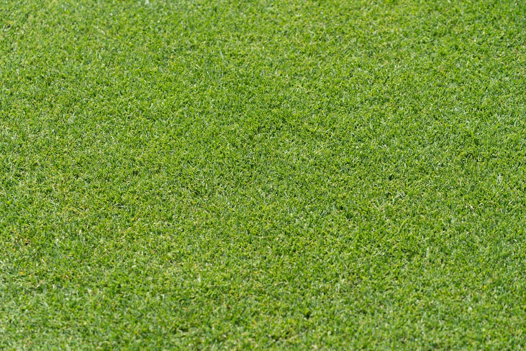 filename 24bc883dd85b48589f26