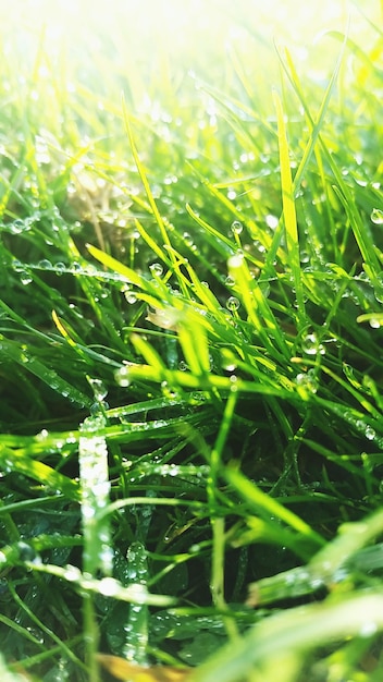 filename 38a6d80508080f77ed95