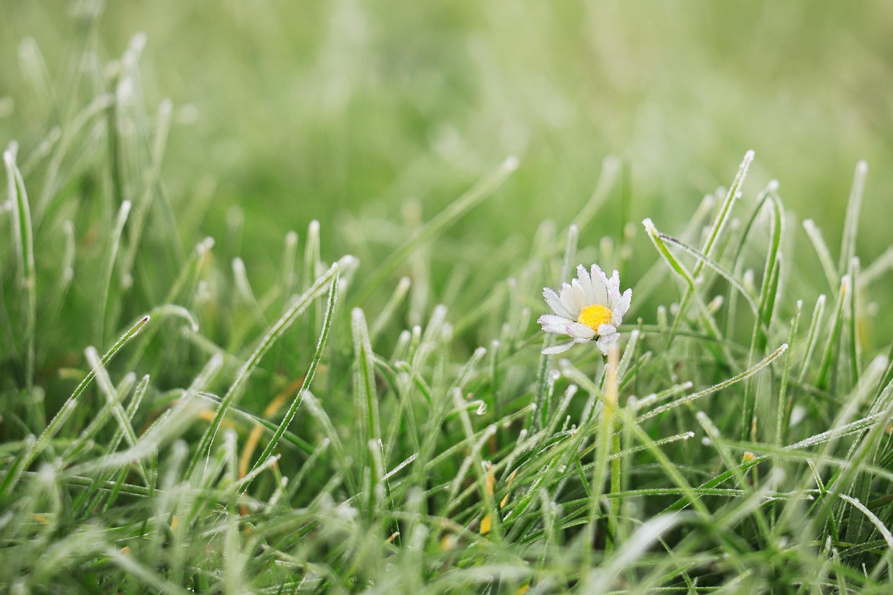 filename 7d4314e349cc81e4597a