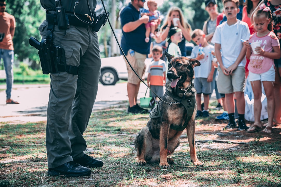 Working dog with protein-rich Patriot Paws treat