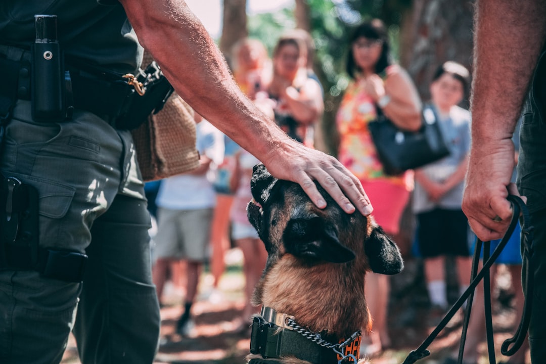 Military working dog with handler on K9 Veterans Day