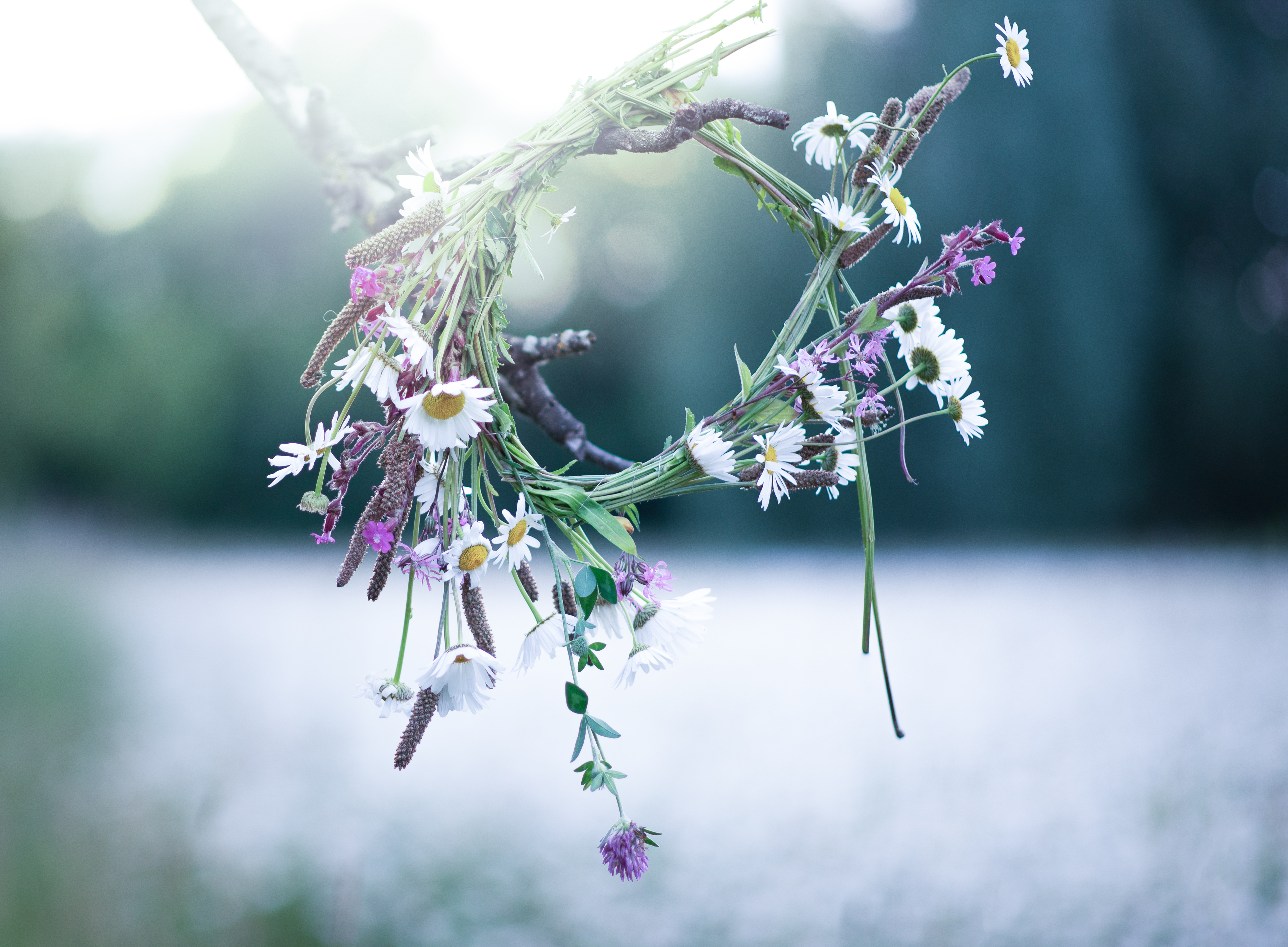 flower wreath happiness and love concept sunny d bda1647eeaa40a744294