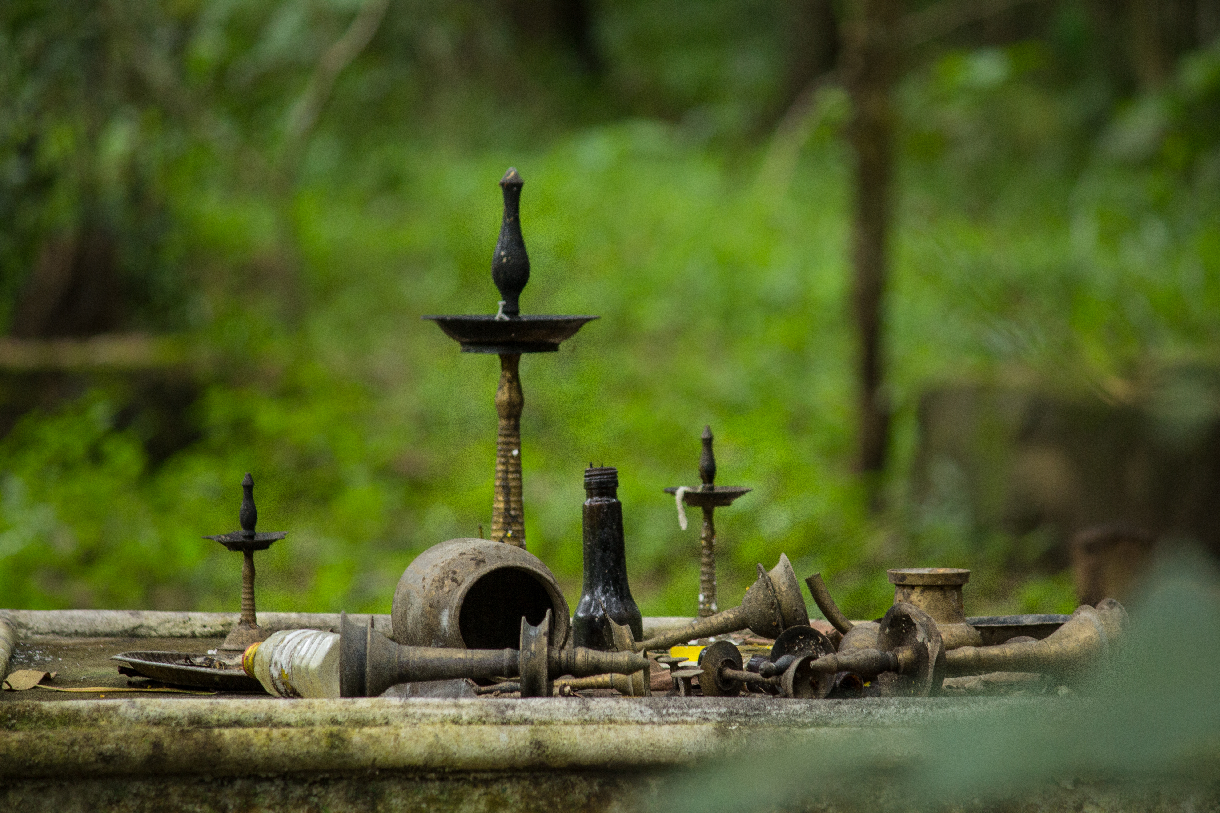 forest temple in green backgroud 5a02c0961a09e01737b9