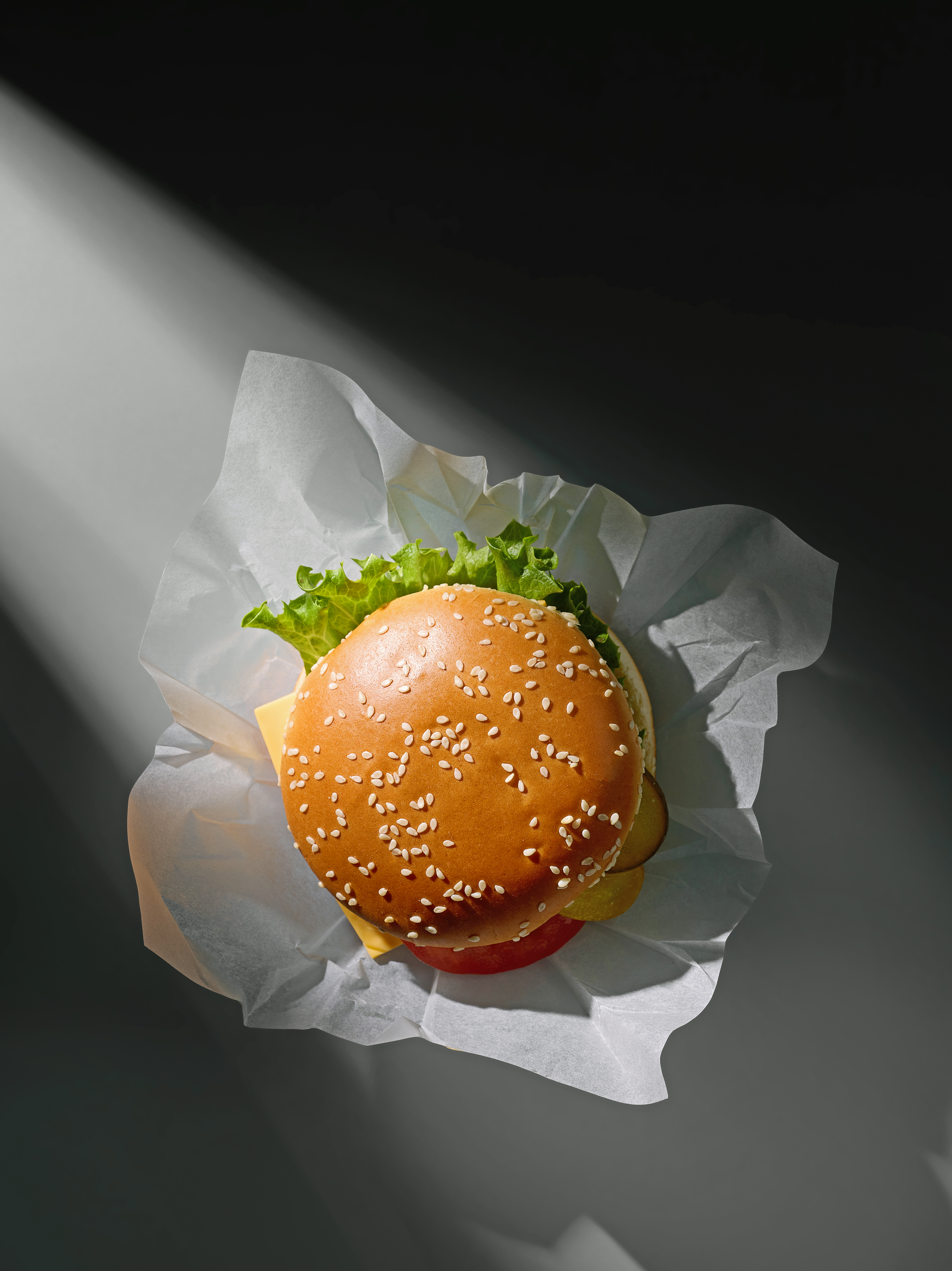 fresh tasty burger 232818a39fa12a1137cd