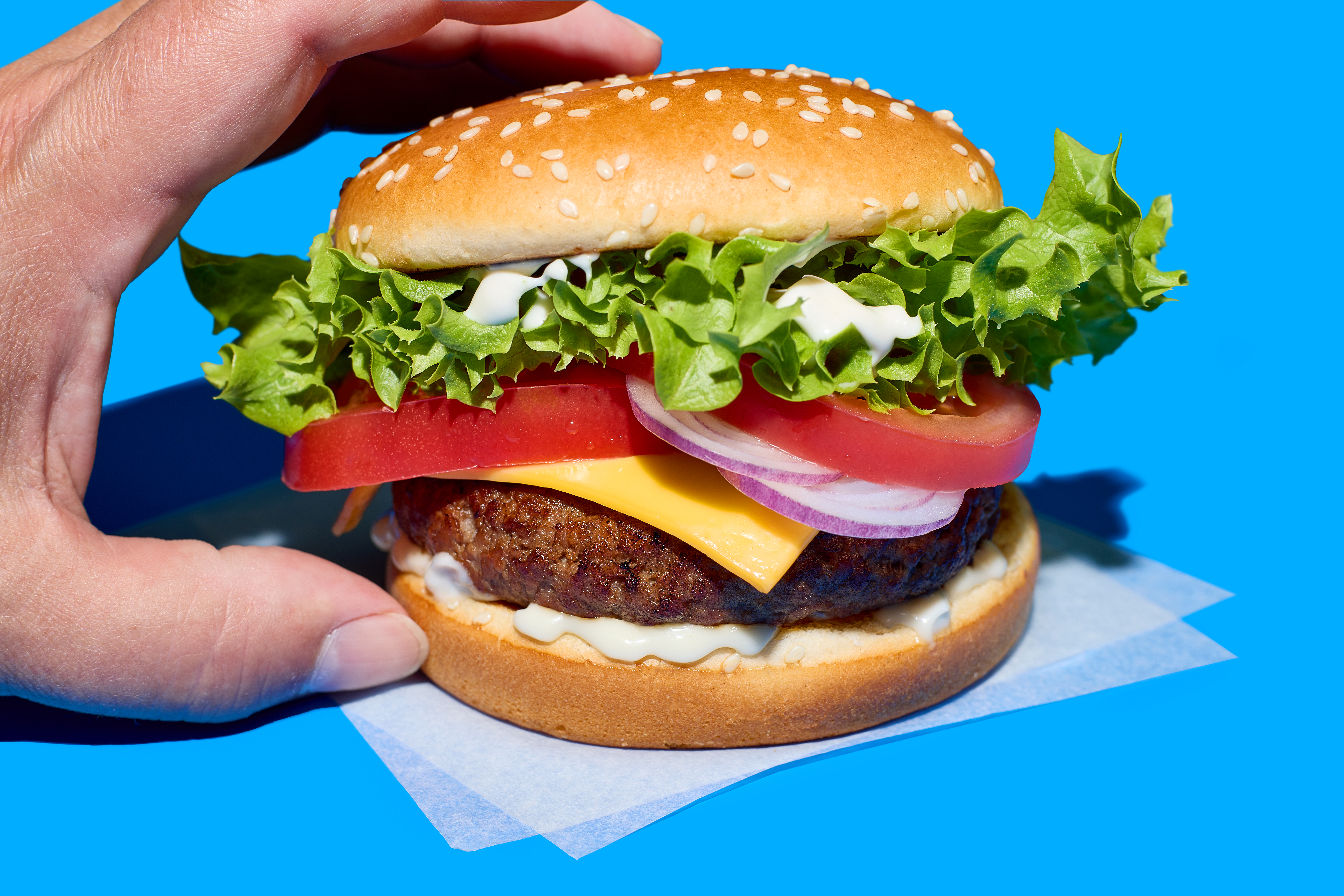 fresh tasty burger 610de9dedd881cd4ff7a