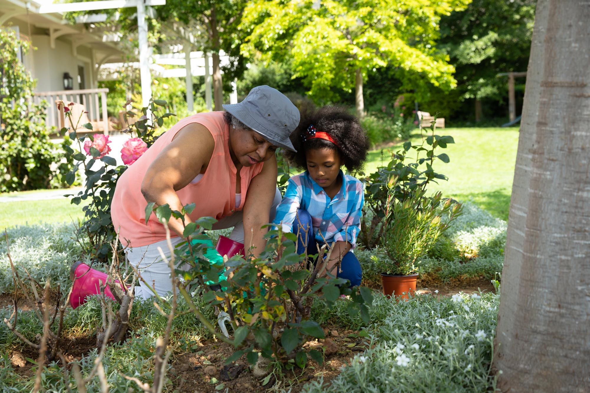 The Green Revolution: How Gardening Education Transforms Communities Sustainably Front View Of An African American Grandmother With 4870e3edce8e31ed125d