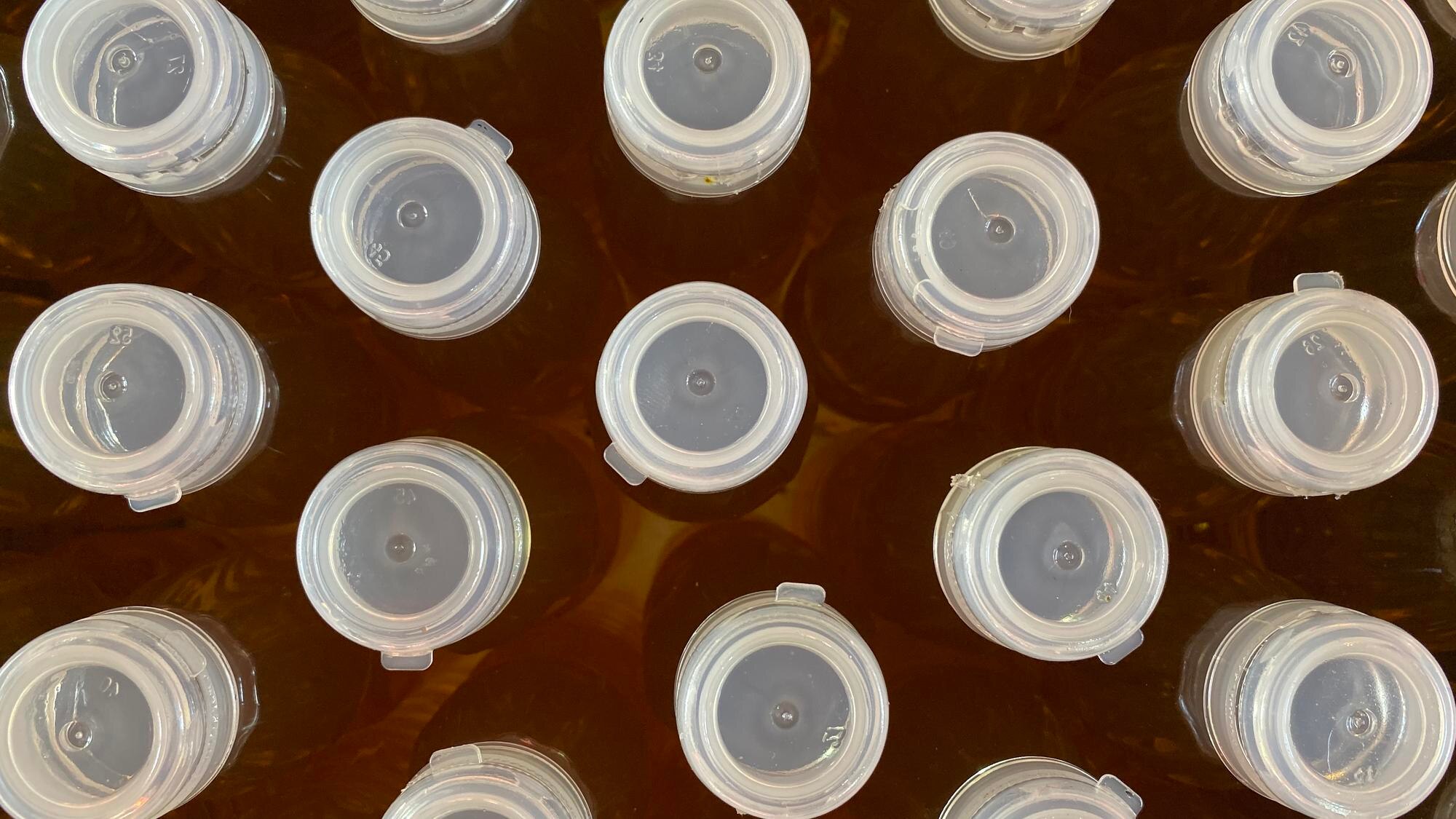 Custom plastic solutions for Australian businesses: Enhancing efficiency and reliability 1 full frame shot of bottles 8c1b3a301e64acdab74f