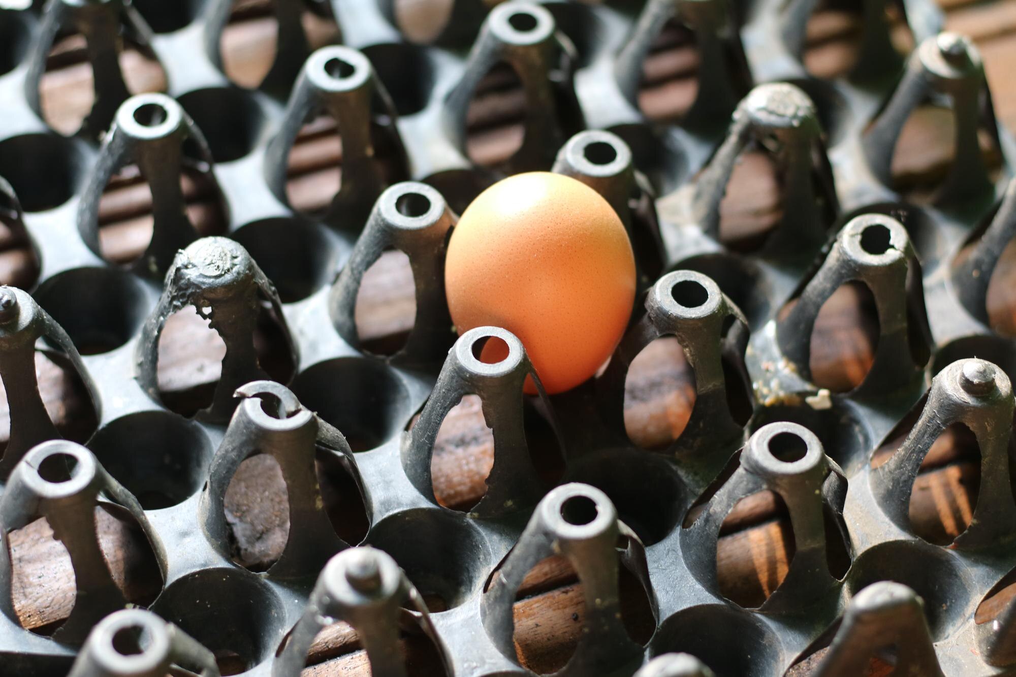 Hidden costs of low‑quality plastics in trade and DIY projects (and how to avoid them) 1 full frame shot of buttons 8fa33d0dee313d26f8f8