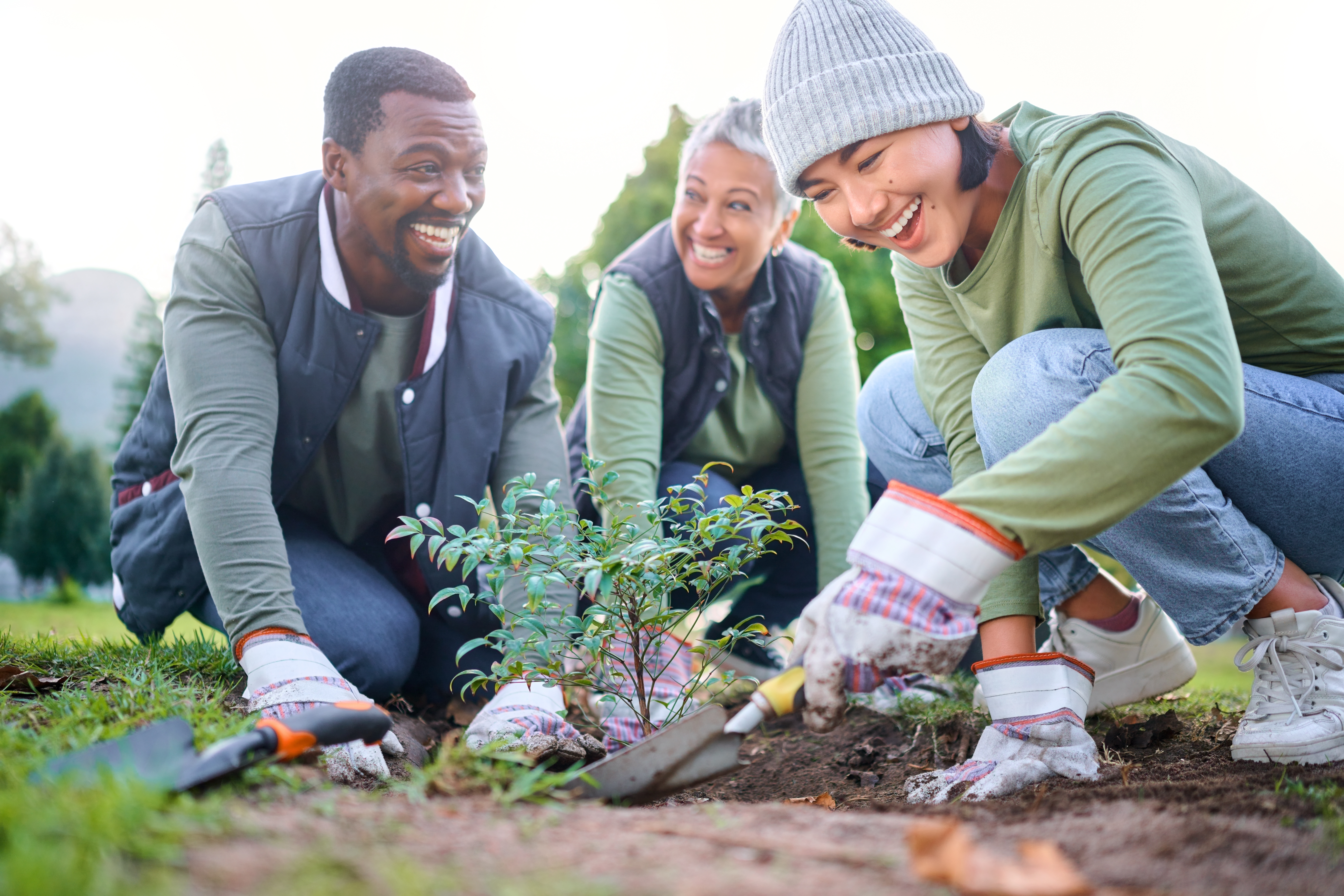 Cultivating Hope: Your Guide to Starting a Community Garden from Scratch Gardening Community Service And People Volunteeri F4c1c9e81f1485aea87b