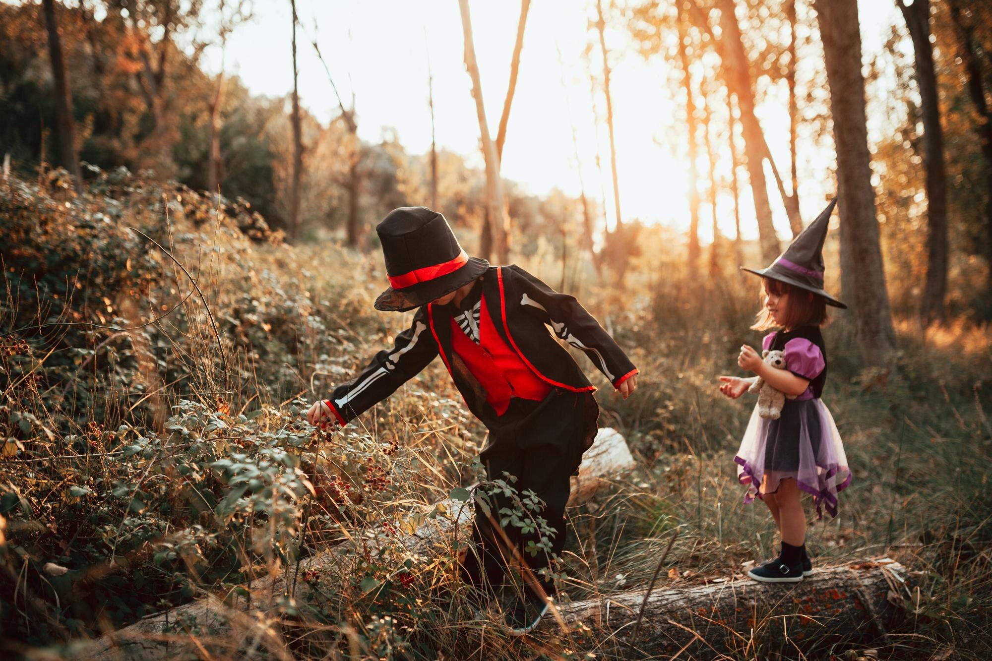 Preparing Your Family for a Magical Weekend at the Yosemite Chivalry & Fantasy Festival