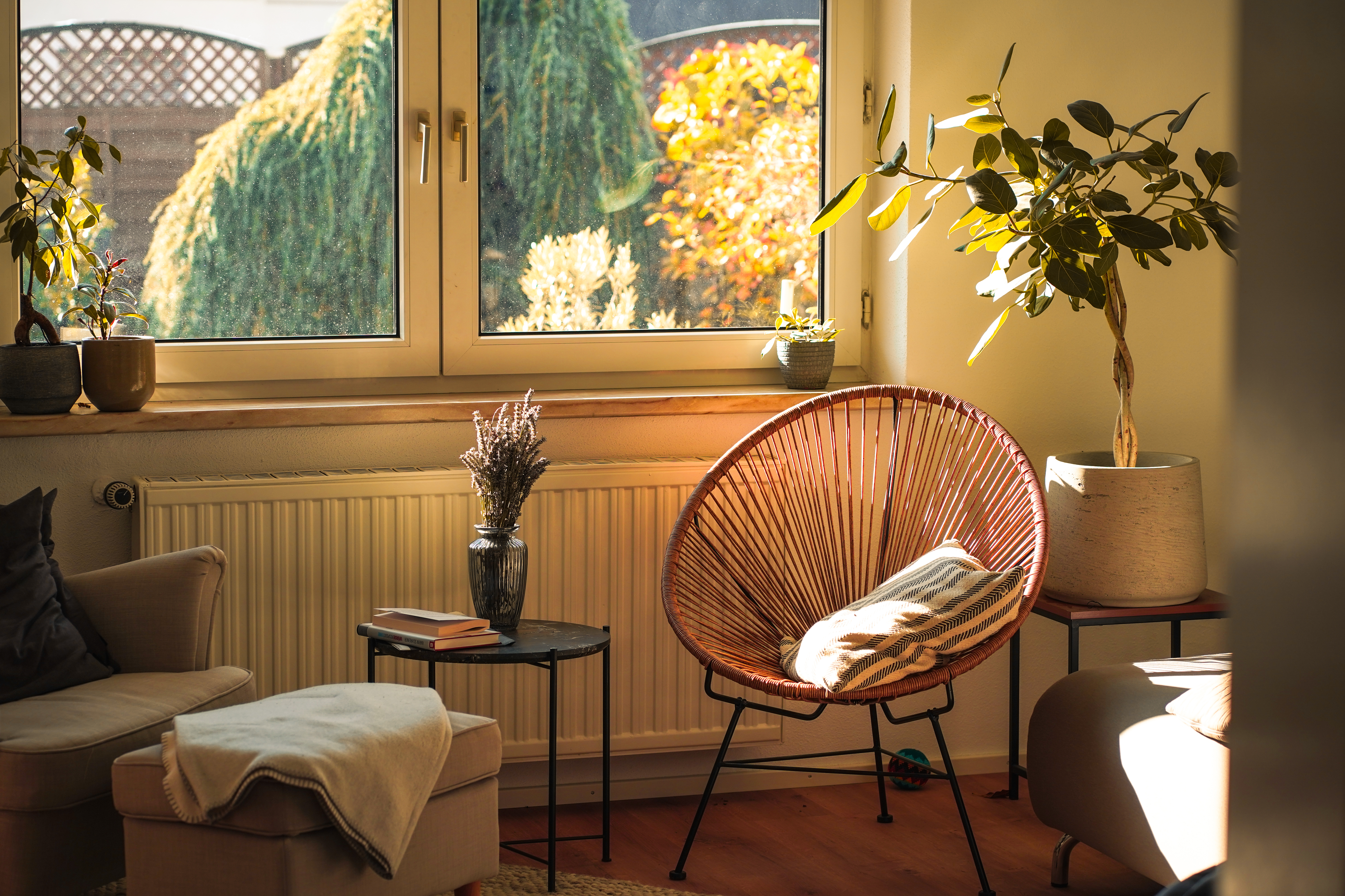 Creating a Healing Environment at Home for Cancer Recovery