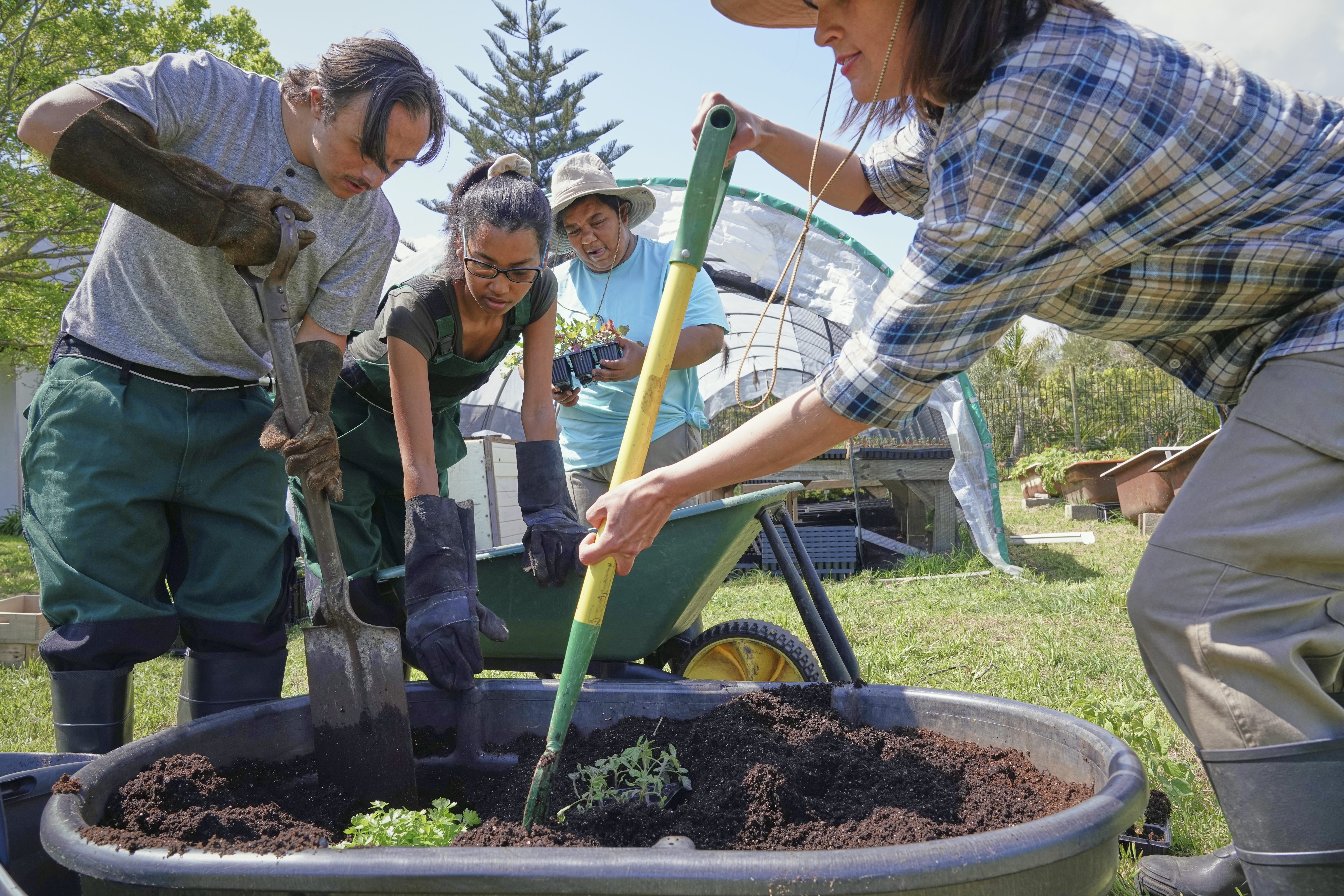 Sustainable Gardening for Beginners: Your Journey to a Greener Thumb 🌱 Group Of Employees Working In Garden Ba246aa9f70d0408cb69