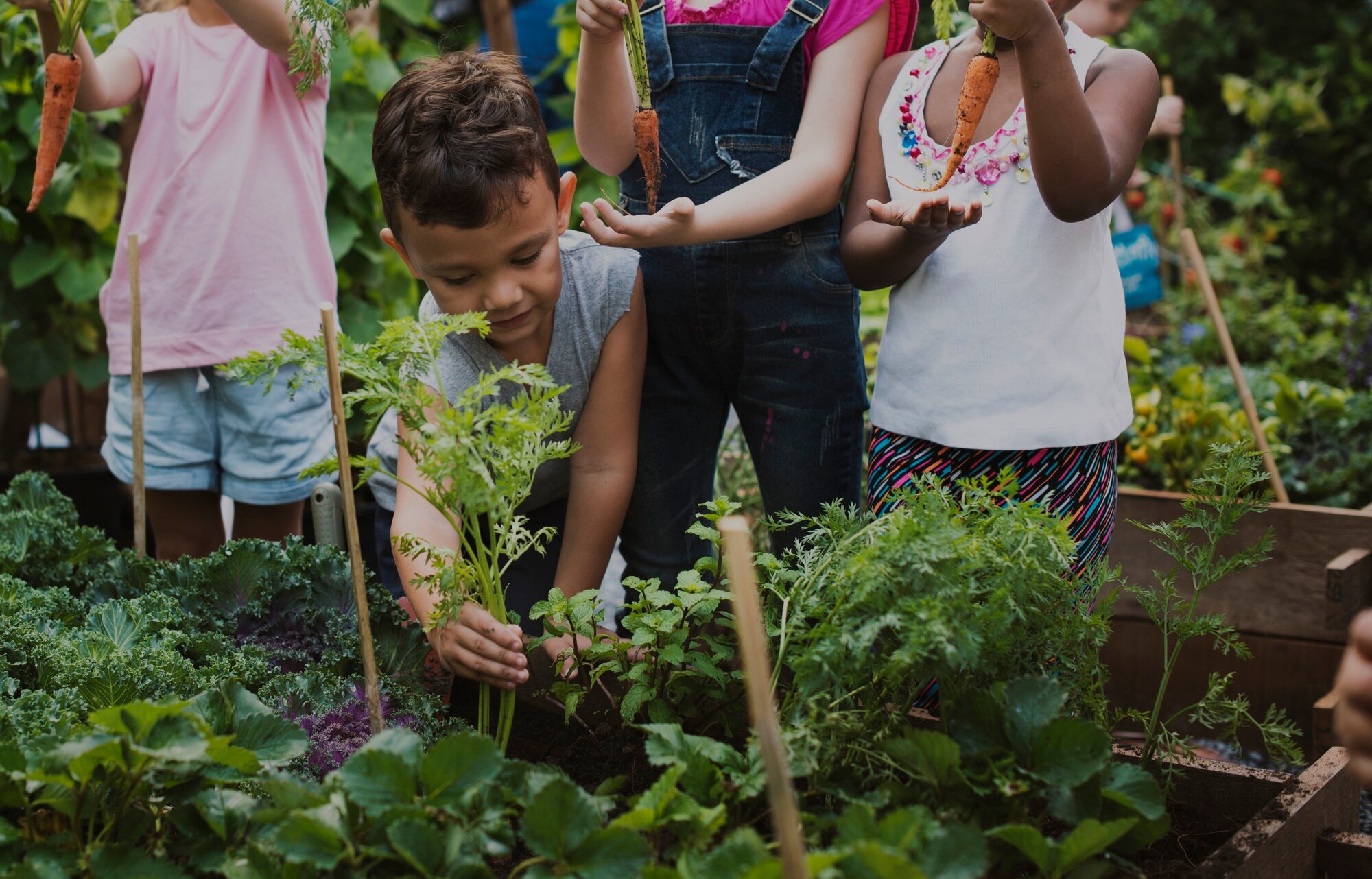 Growing Young Minds: Fun and Educational Gardening Activities for Kids! Group Of Kindergarten Kids Learning Gardening Outd Cada78c45ef3a12ae825