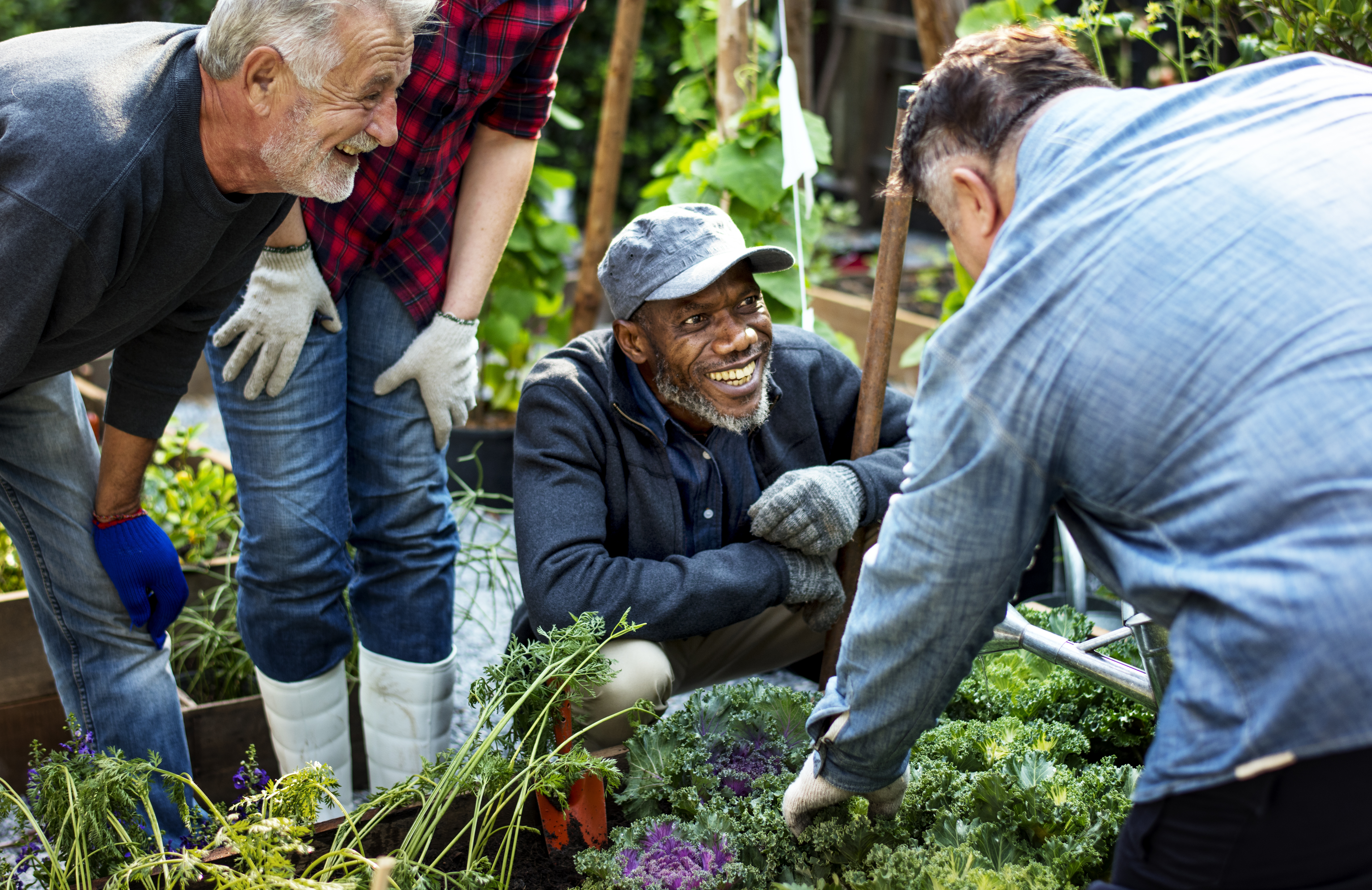 Collaborate and Grow: Starting Cooperative Gardens in Your Neighborhood Group Of People Planting Vegetable In Greenhouse 8498c726b2b99ea792a9